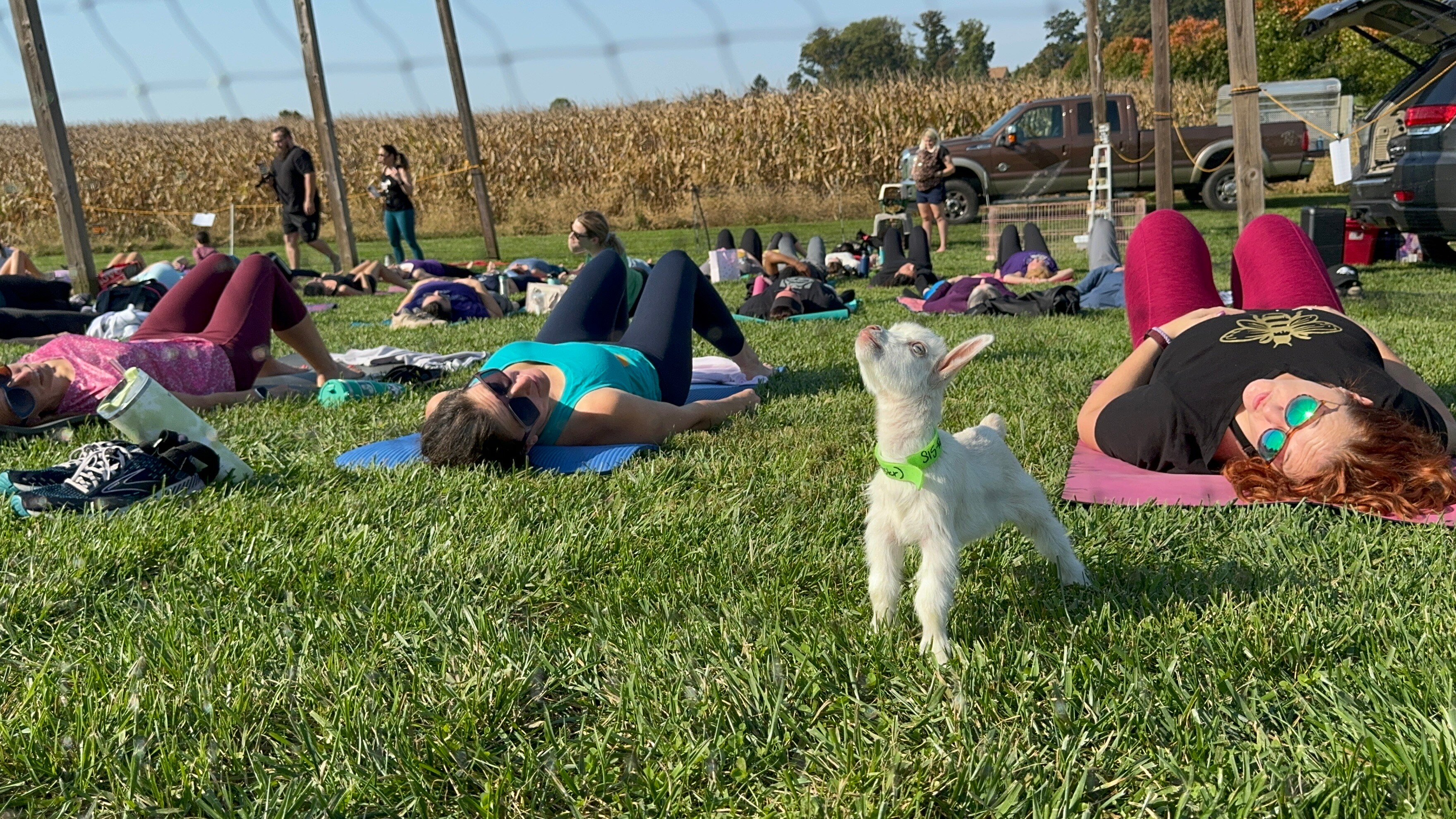 Manor Hill Brewing is hosting baby goat yoga Sunday morning.