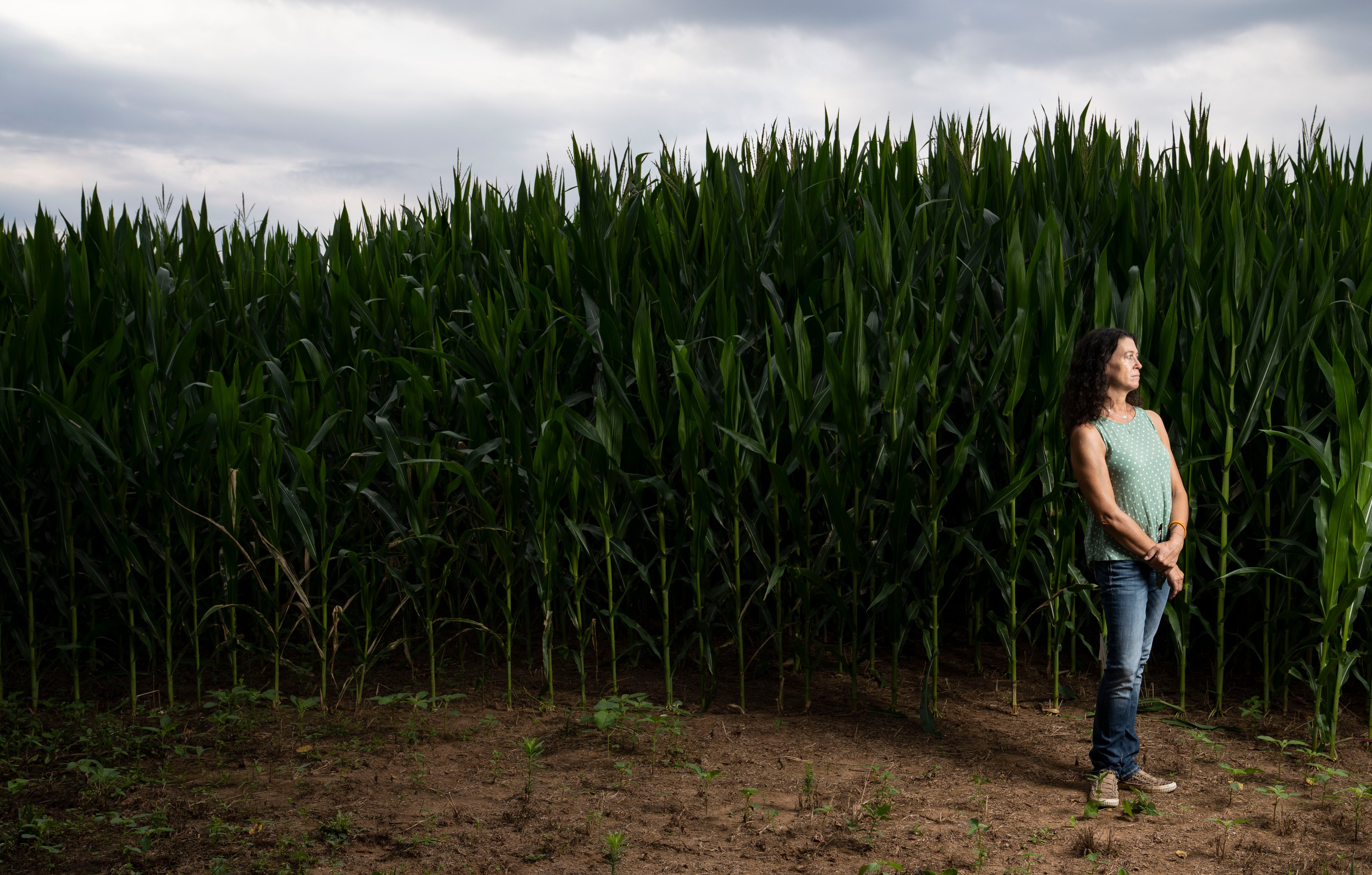 “It’s too depressing to think about,” Leslie Bauer of Rural Rhythm Farms in Dayton said. “You take a beating, and you hope next year will be better.”
