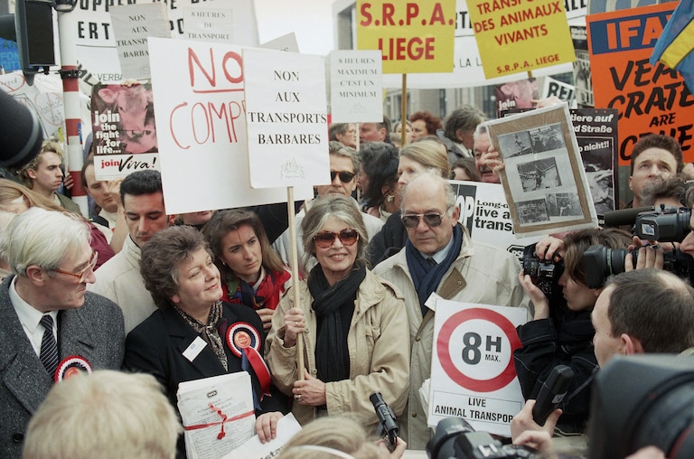 FILE - French actress Brigitte Bardot, center is surrounded by animal rights protestors during a demonstration against transporting live animals in Brussels, Monday, Feb. 20, 1995.