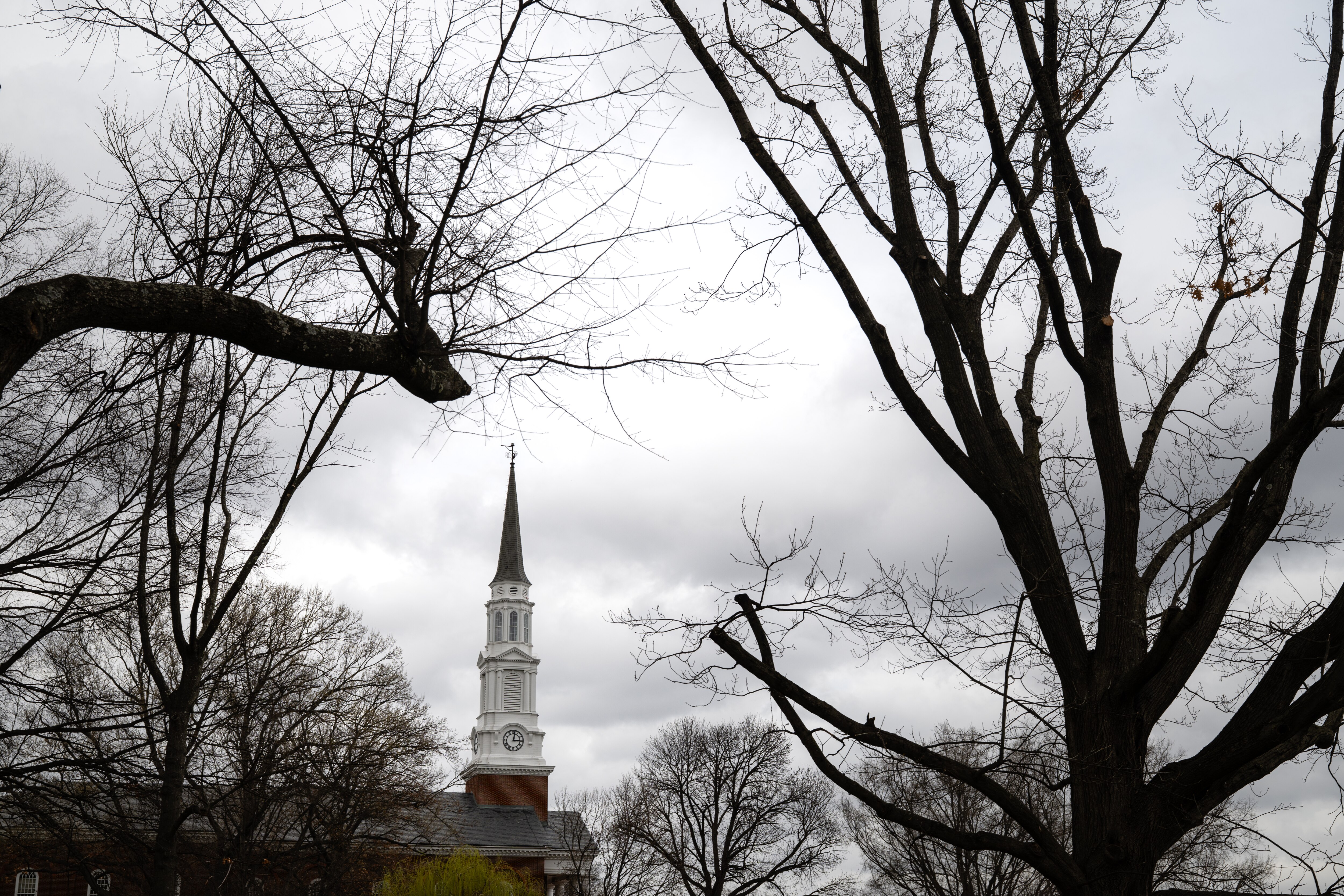 University System of Maryland is partnering with Google to offer students an opportunity to enroll in free training for fields including cybersecurity and artificial intelligence.