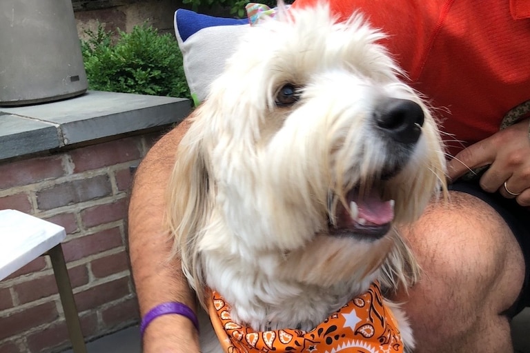 A very good pup on the patio of Gunther & Co.