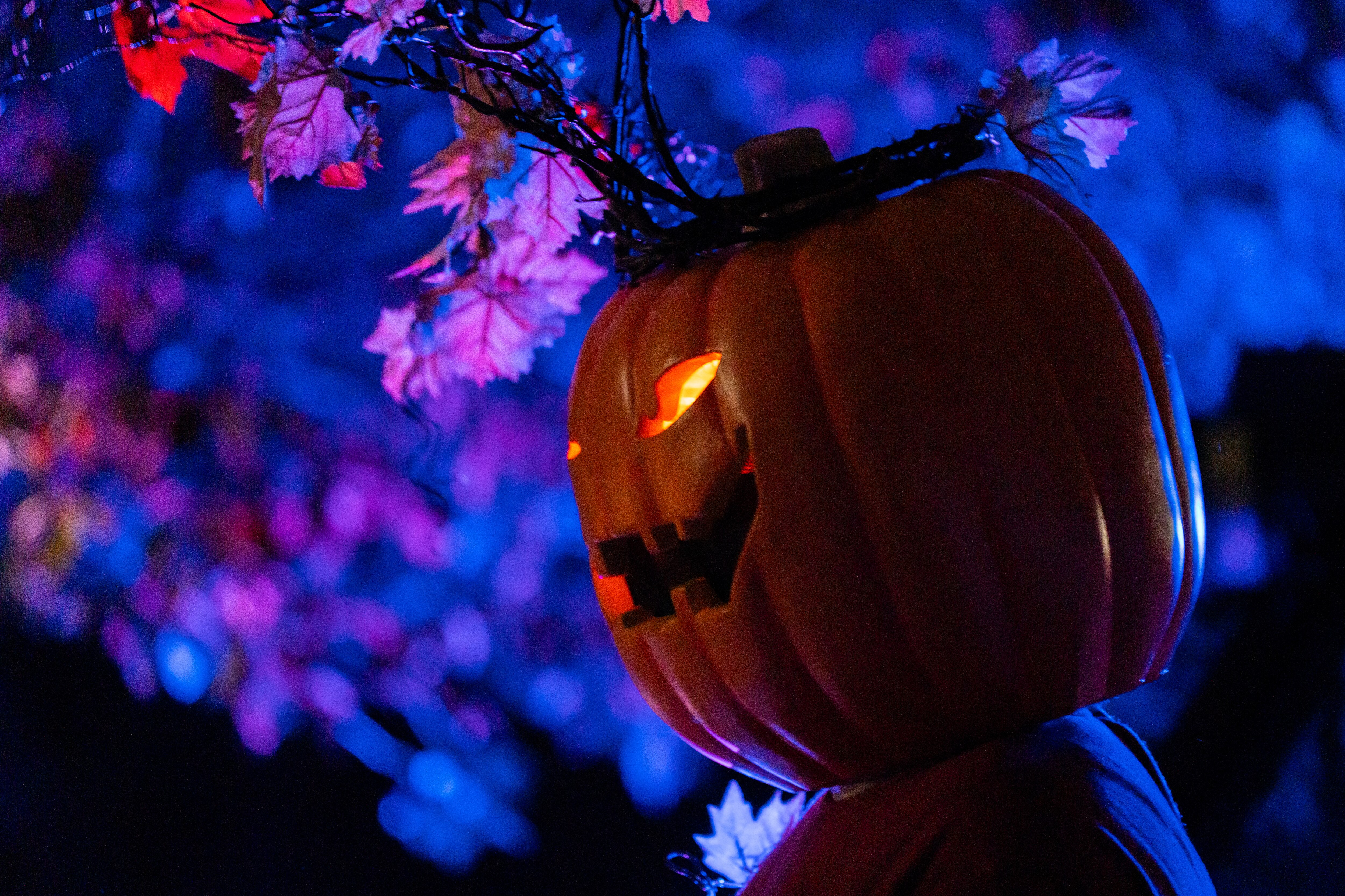 It will be breezy on Halloween, according to the National Weather Service, but there won’t be any rain. 