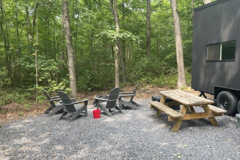 Our front yard for four days consisted of trees and a campfire. It was shockingly luxurious.