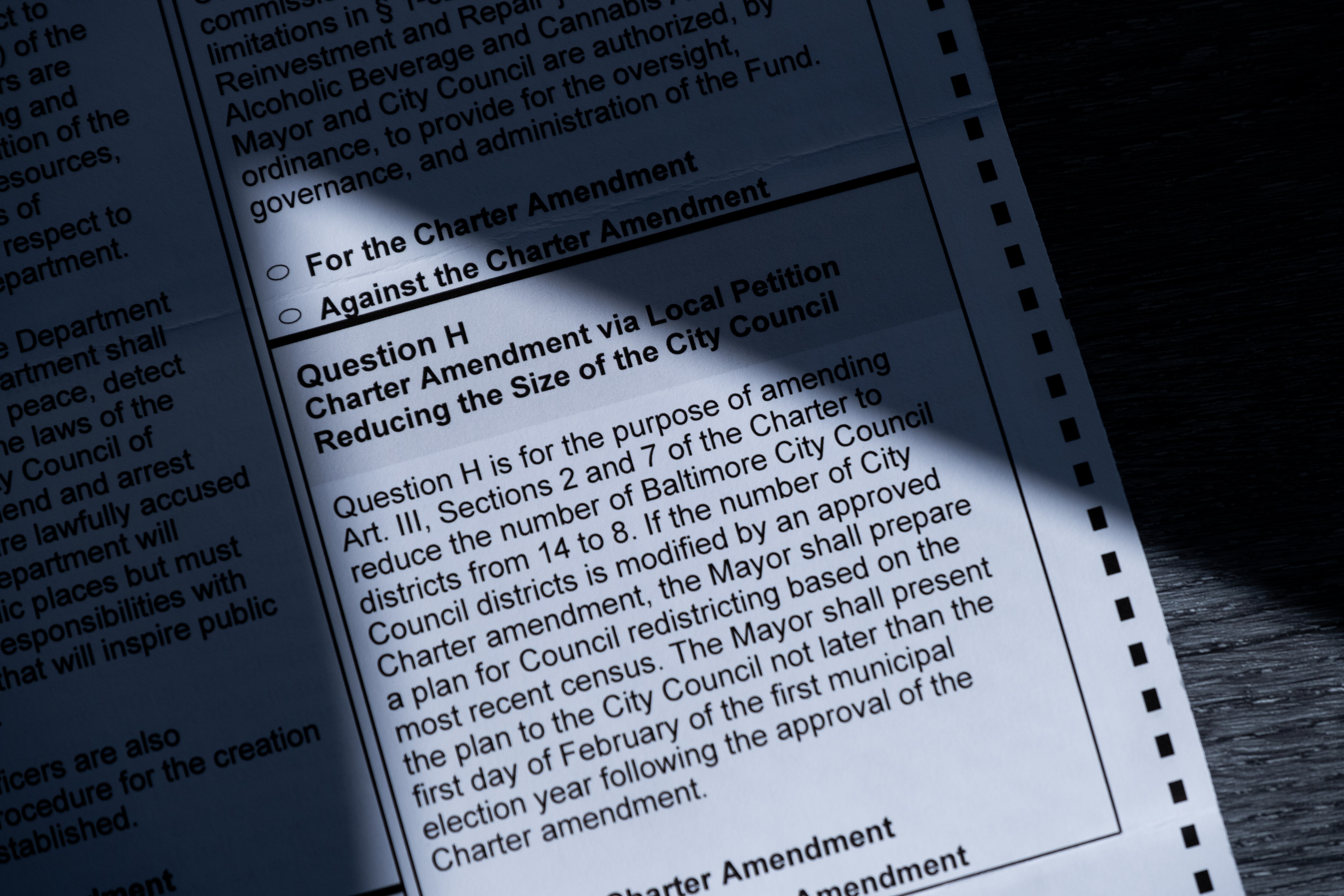 Stop Sinclair is part of a network of groups opposing a ballot measure to reduce the size of City Council.