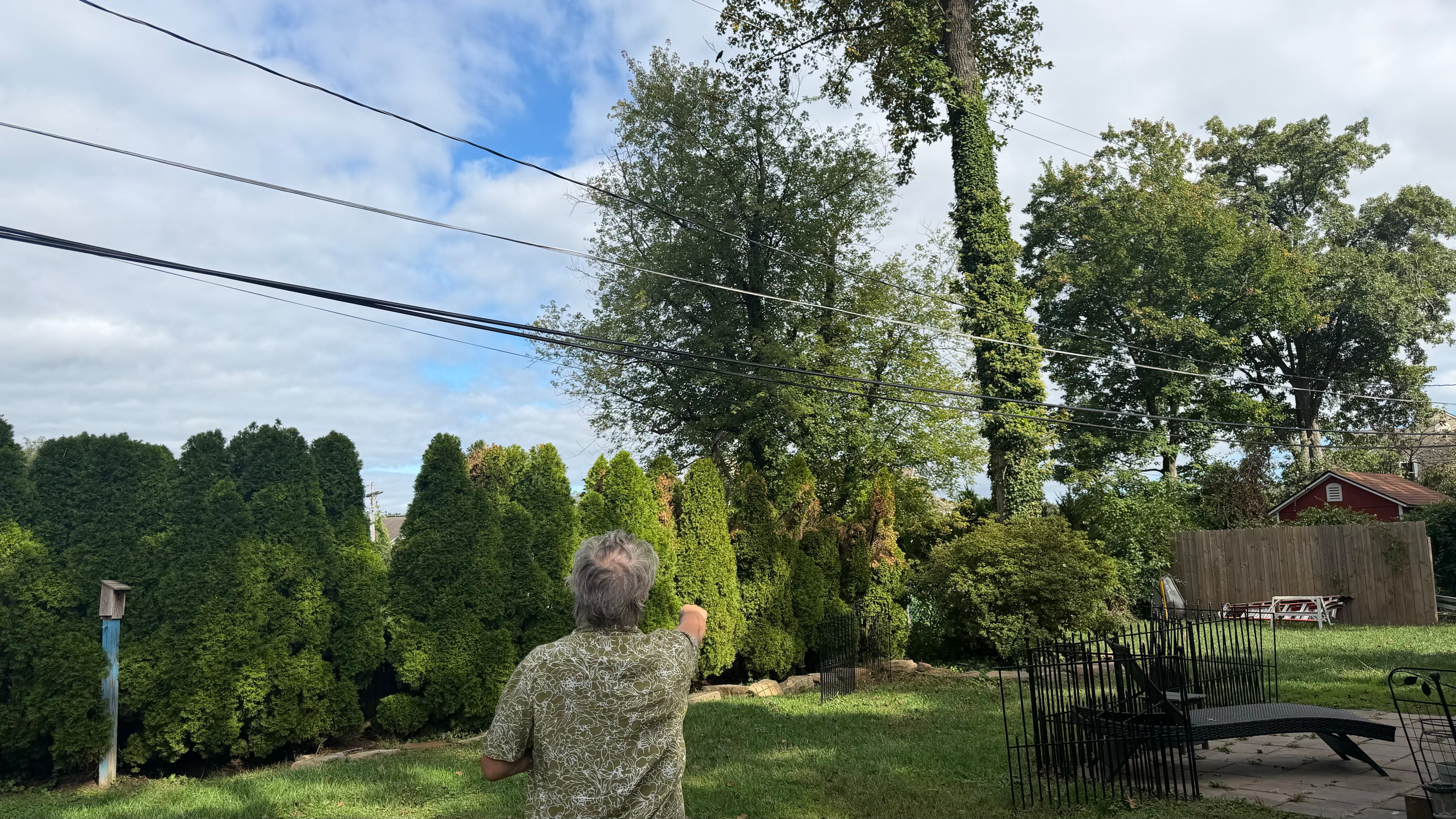Jeff Karowich shows off the bushes that caught fire after a downed line fell in his yard in the evening of Sept. 3, 2026, in his backyard on Sept. 29, 2026.
