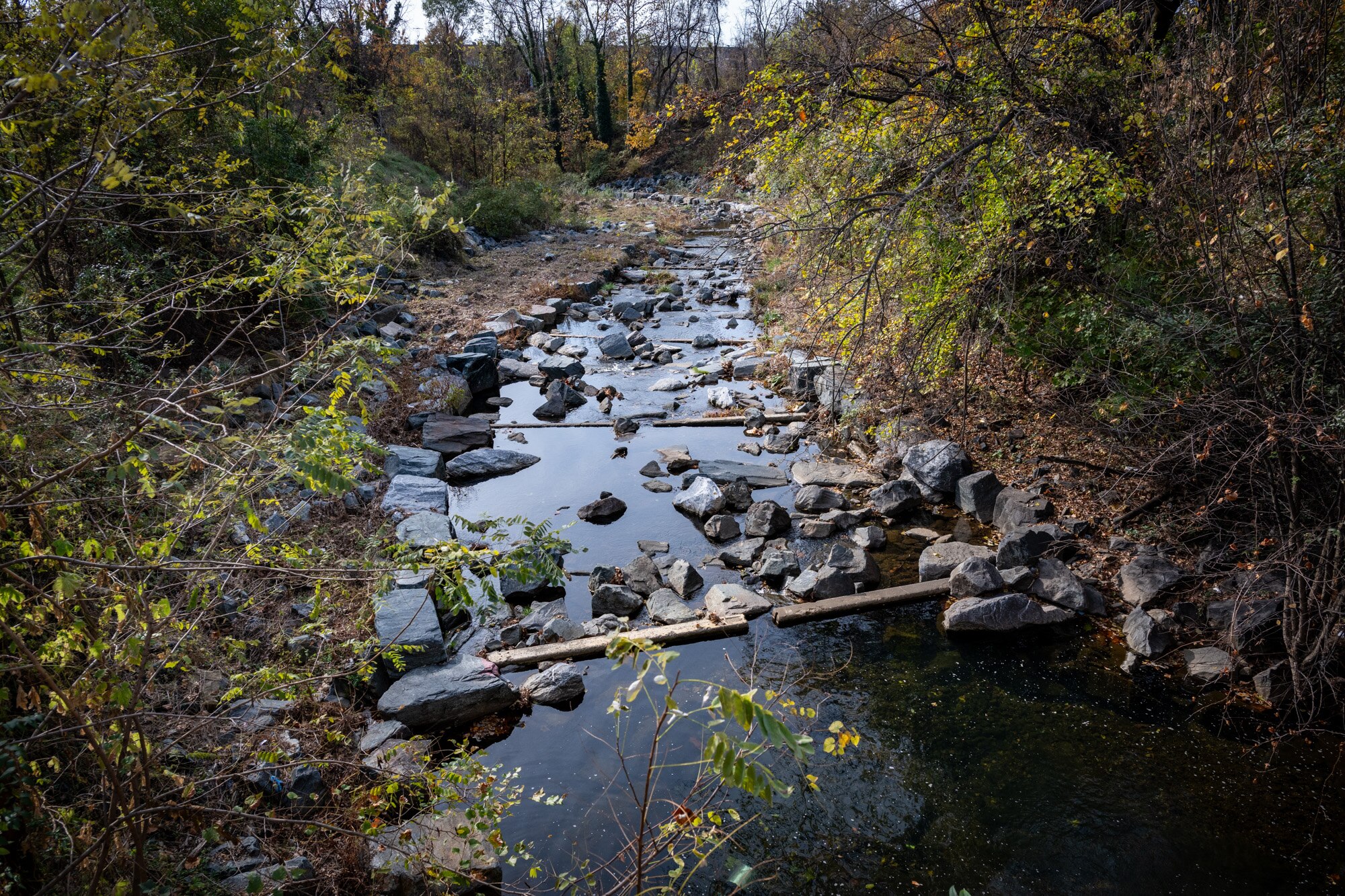 Water flows through Chinquapin Run in north Baltimore near Woodbourne Avenue and The Alameda a few years after a stream restoration and stabilization project was completed.