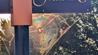 A spiderweb shines in the early morning light in downtown Frederick on Aug. 8, 2024. The city is part of the expanding Washington, D.C., metropolitan area.