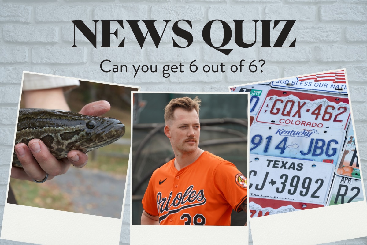 (Photo credit, from left: U.S. Fish and Wildlife Service, Paul Mancano/The Baltimore Banner, and Vladimirbelobaba/Canva.com)