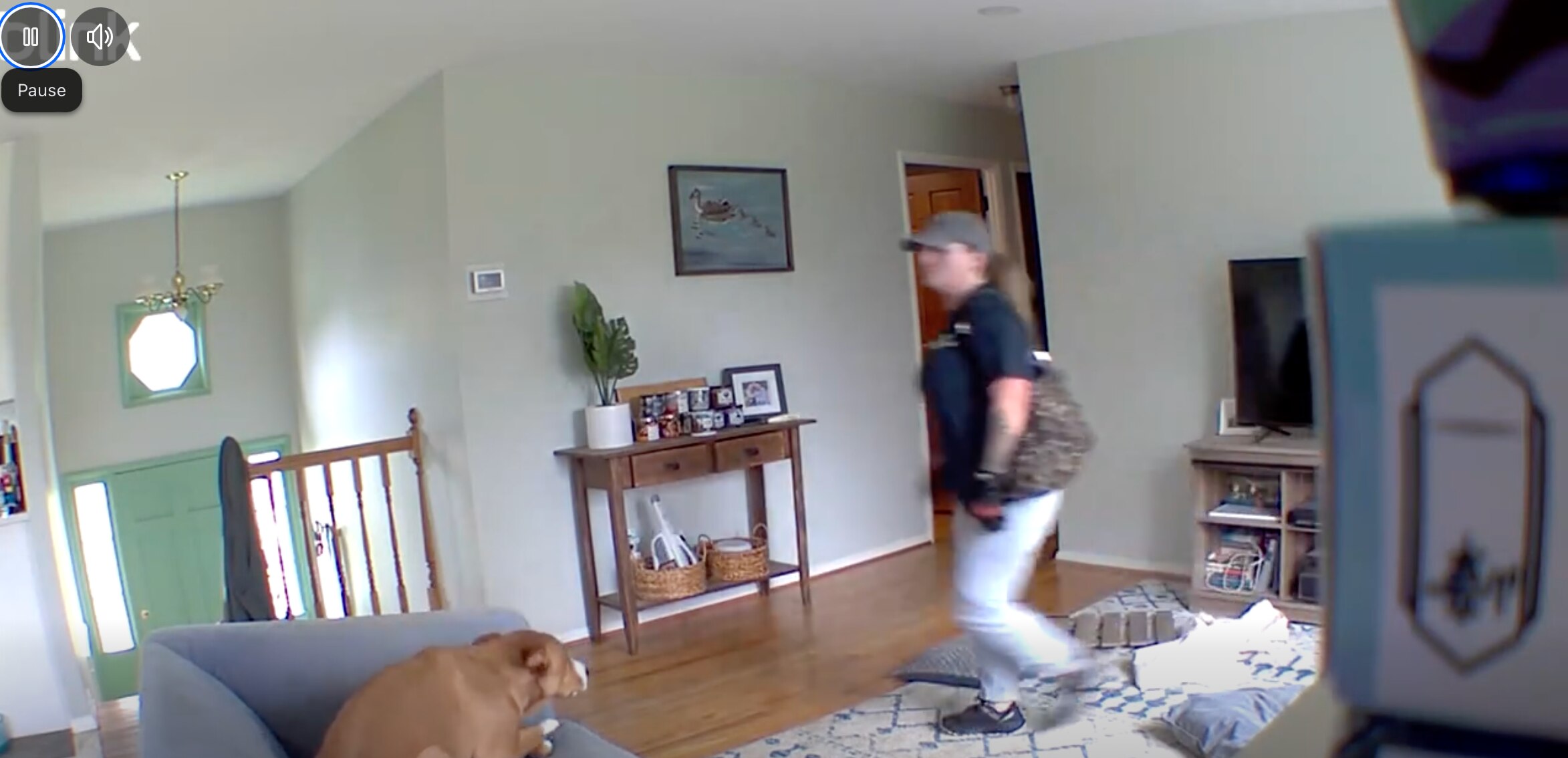 A still from a video shared by Howard County Police that allegedly shows a woman during a burglary.