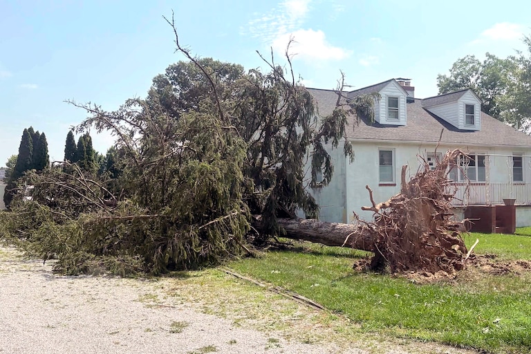 The Fourth of July storm left Helga Mills' sister's home in Severn, a street away from her own home, with a tree in her front yard and a destroyed patio.
