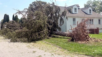 The Fourth of July storm left Helga Mills' sister's home in Severn, a street away from her own home, with a tree in her front yard and a destroyed patio.