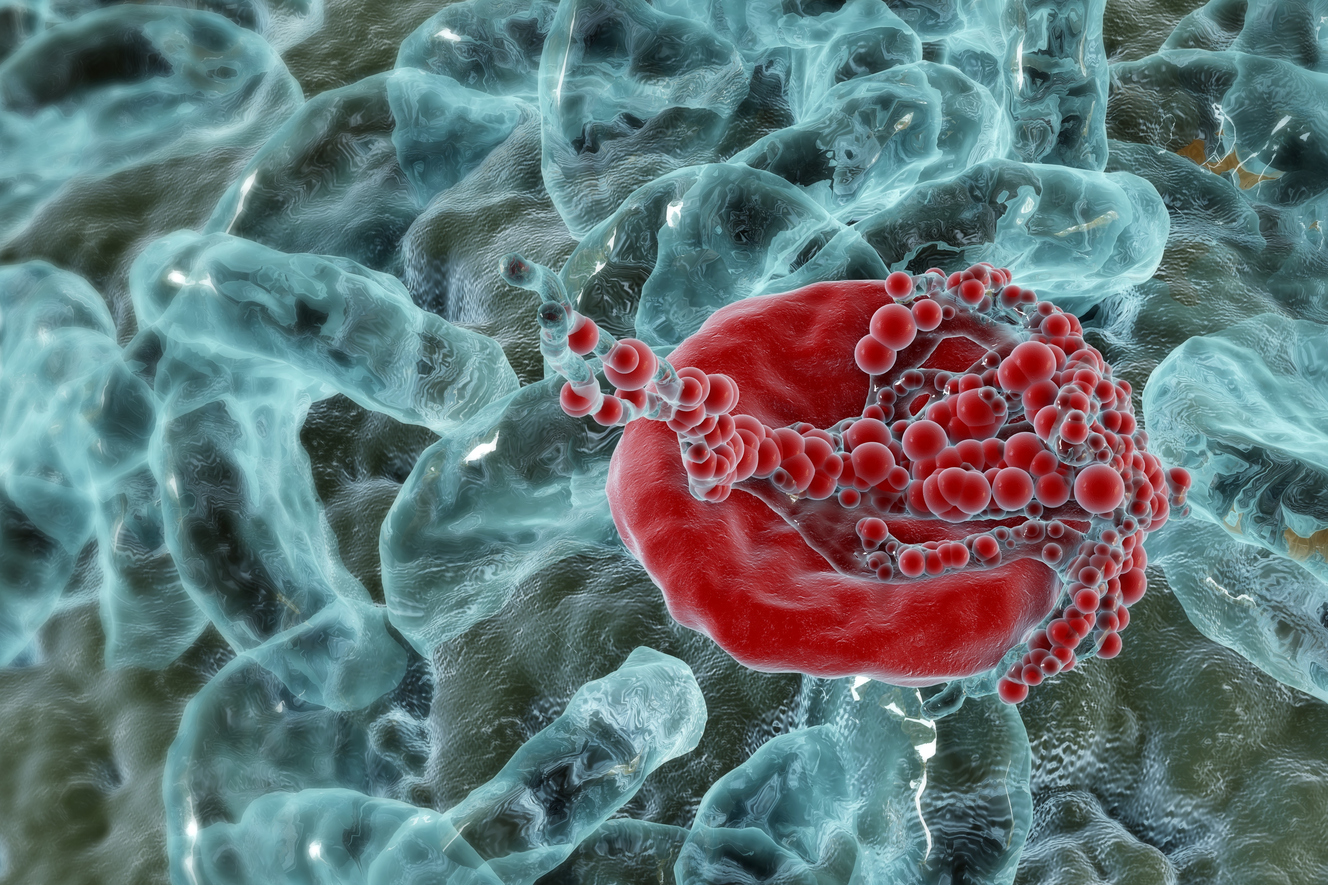 Red Blood Cells with Cancer Cells