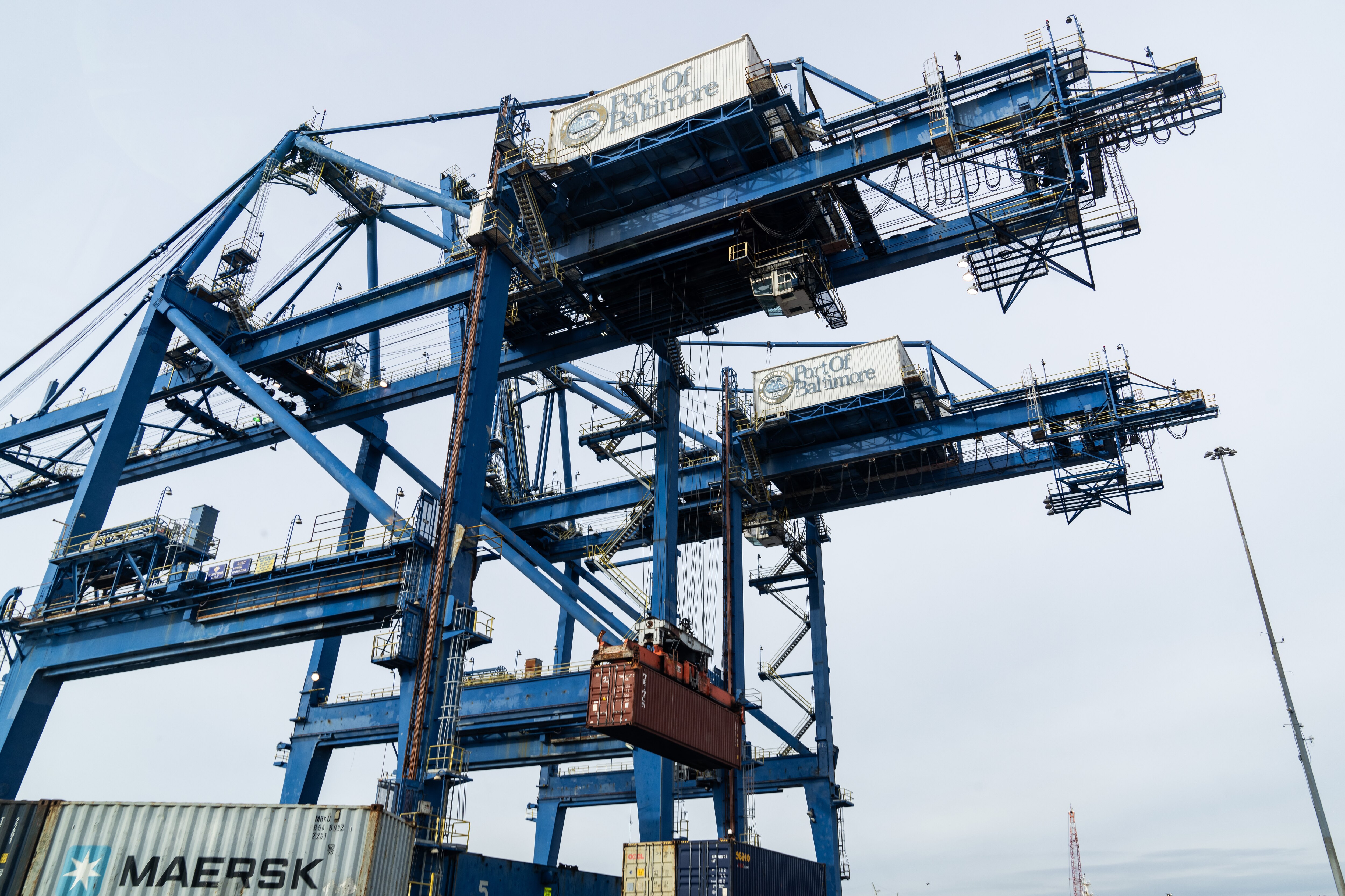 Two blue cranes tower overhead, both reading "Port of Baltimore" on them. The foremost one is lifting a red shipping container.