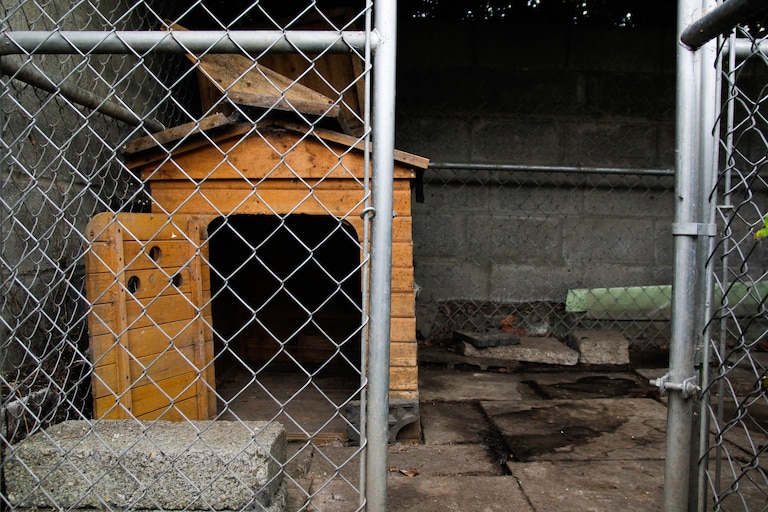 Empty dog kennel.