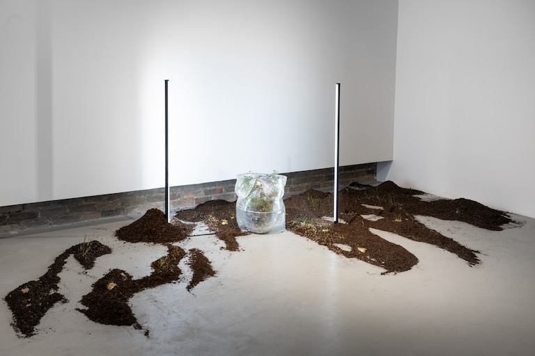 Madyha Leghari's "Inhospitable Womb" will be on display as part of her Trawick Prize finalist showcase at Bethesda's Gallery B. The Hyattsville resident turned a resin cast of her pregnant torso into a terrarium.