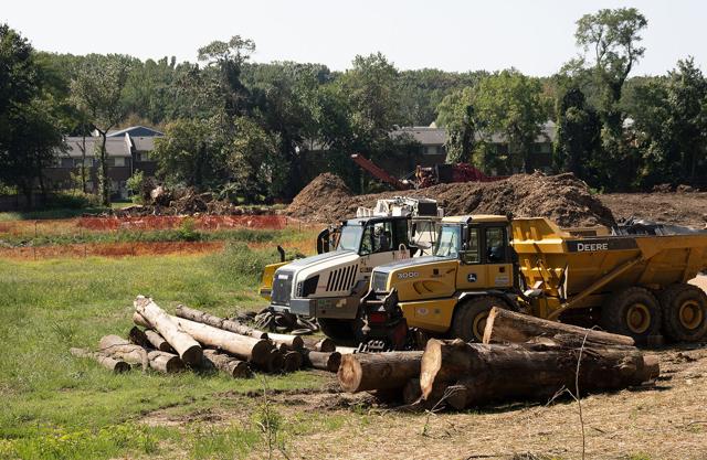 Amputated tree trunks and mounds of shredded wood are all that’s left of a patch of woods off Aris T. Allen Boulevard in Annapolis that was cleared for development.