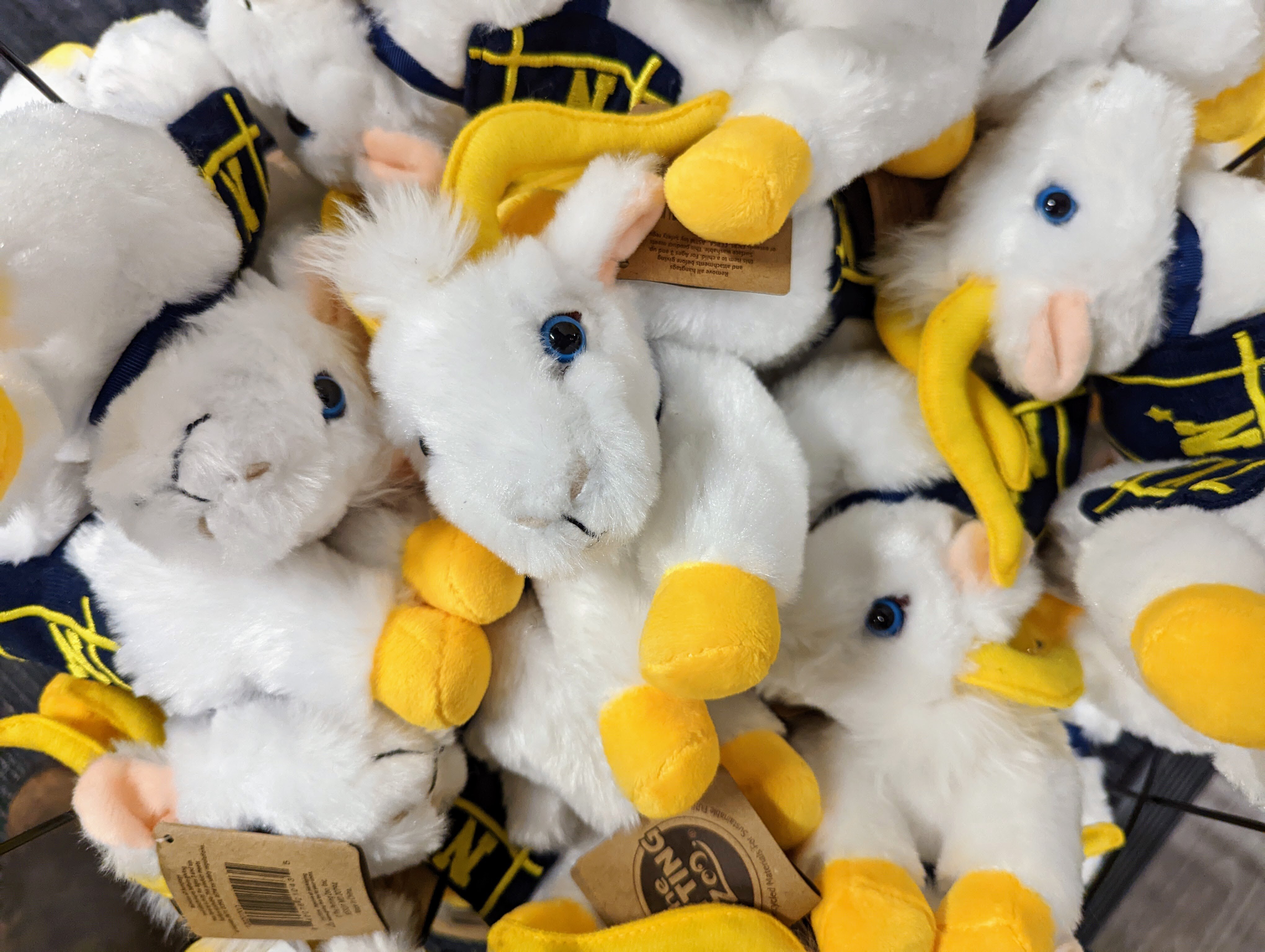 Bill the Goat, Bill the Goat and Bill the Goat in a bin at the Midshipmen Store at the Naval Academy in Annapolis. The store is like any campus store and carries a large selection of Navy sports gear.