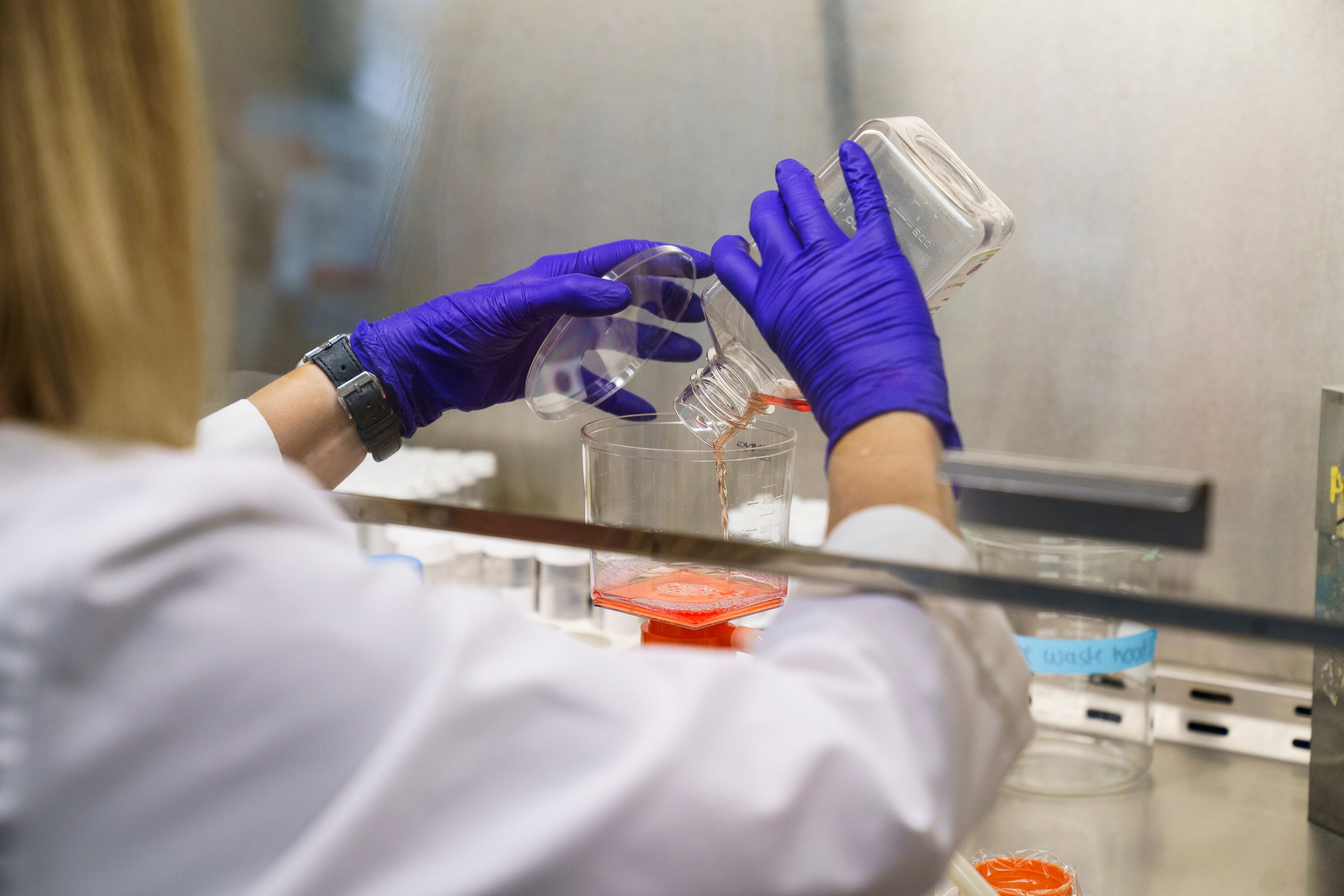 Karen Sfanos performs cell culture media in her lab at the David H. Koch Cancer Research Center of Johns Hopkins University on June 25, 2025.
