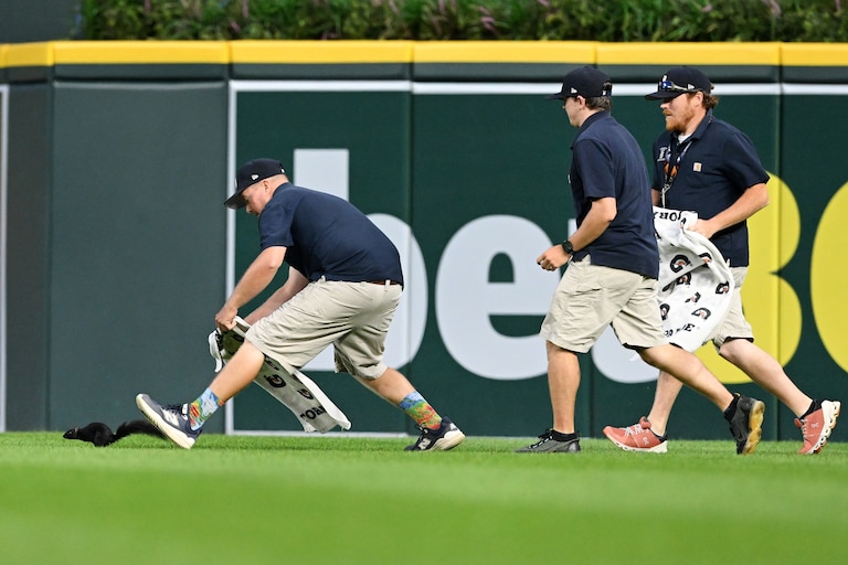 Comerica Park grounds crew members attempt to capture a squirrel during the seventh inning.