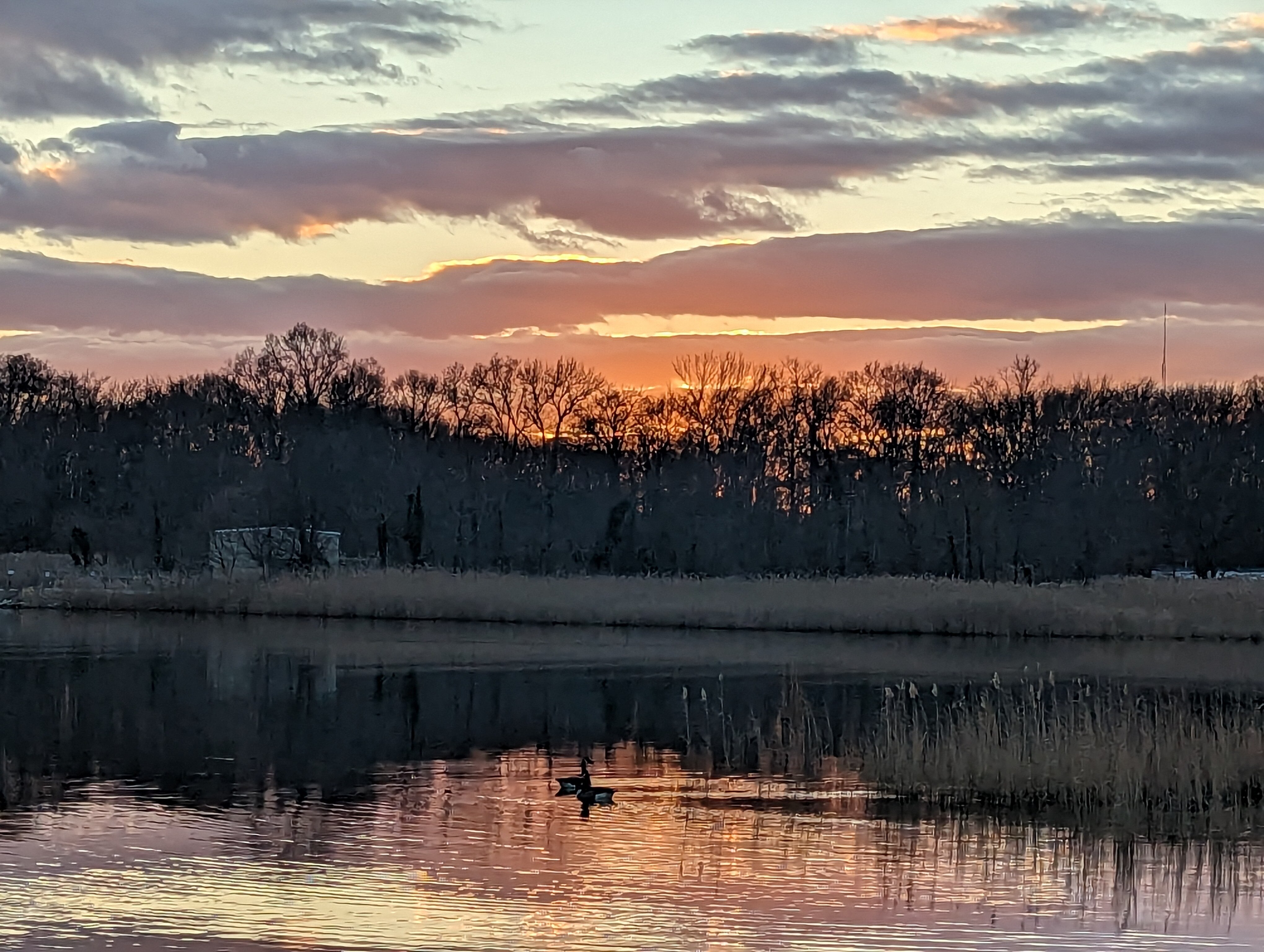 This time of year, the sun sets before 4:30 and dips below the bare trees on Fishing Creek beneath a sky full of gray clouds.
