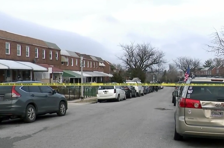 March 5, 2026 - A pit bull was euthanized after biting its owner and chatting at a Baltimore Police officer in the 6500 block of Hartwait Street on Thursday.