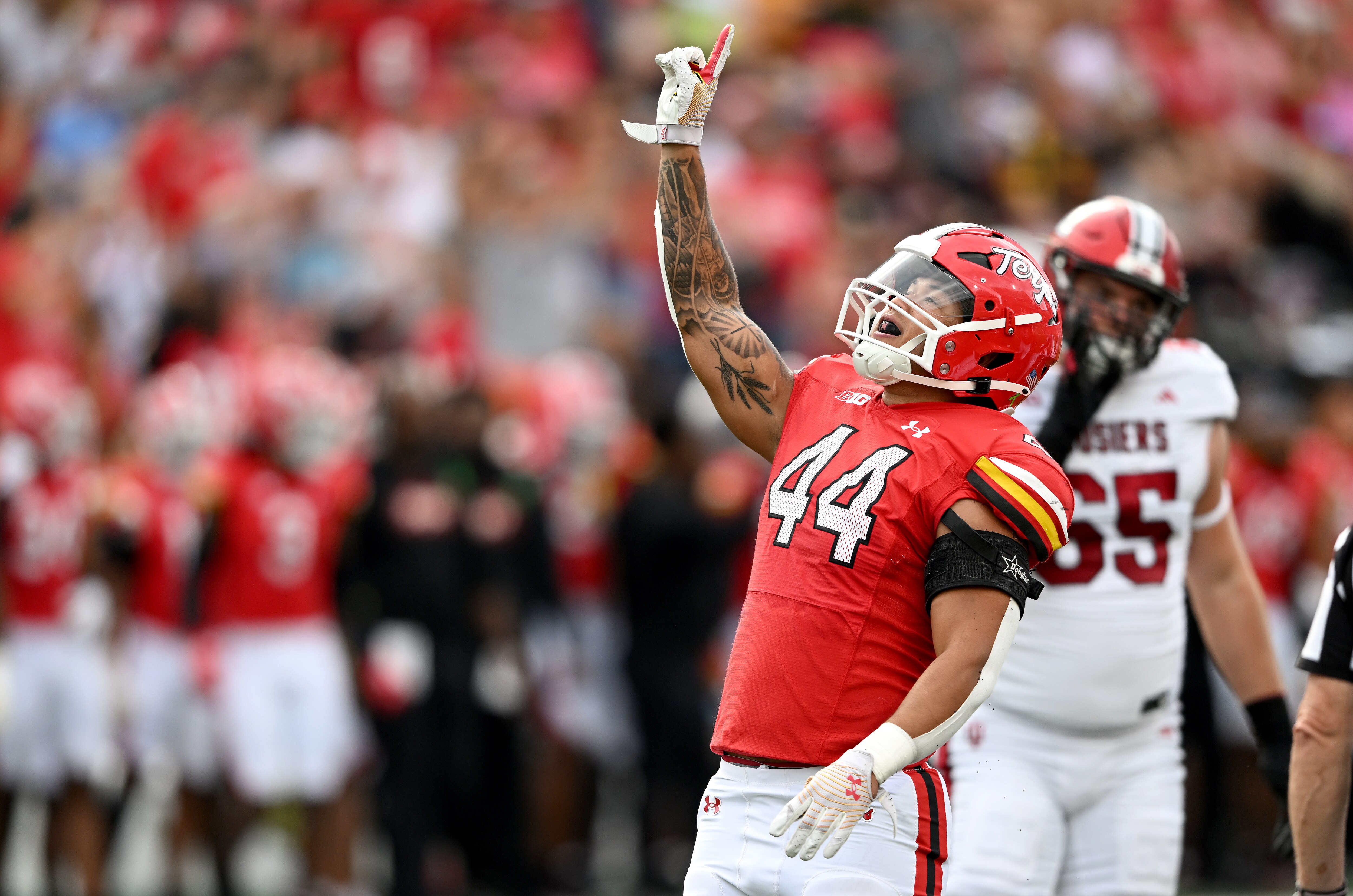Caleb Wheatland, No. 44 of the Maryland Terrapins, celebrates a sack against the Indiana Hoosiers at SECU Stadium on Sept. 30, 2023 in College Park, Maryland.