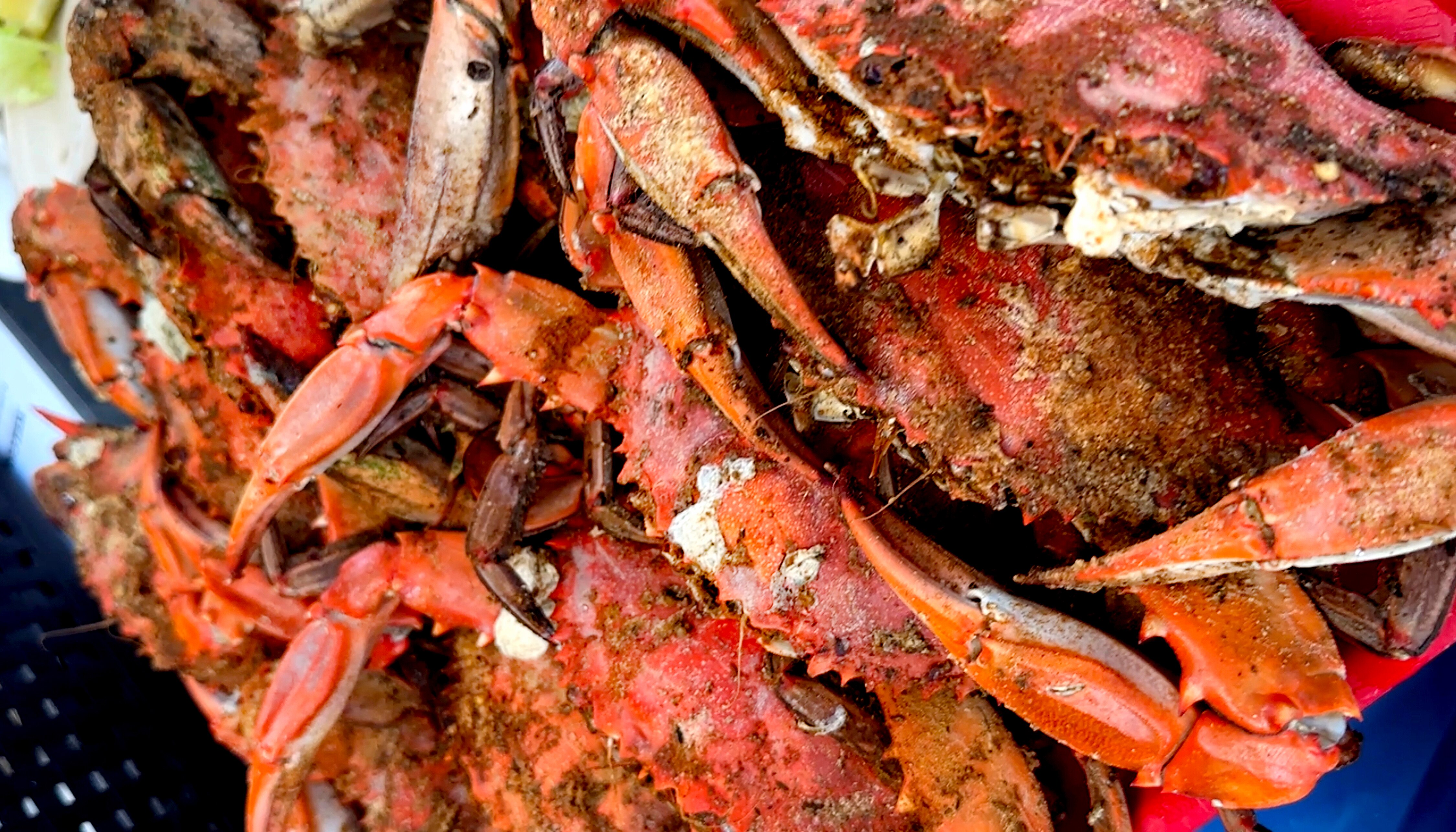 Sit down for Saturday evening’s crab feast at Motor House, the Station North arts venue raising money after a car crashed into its entrance in June. 