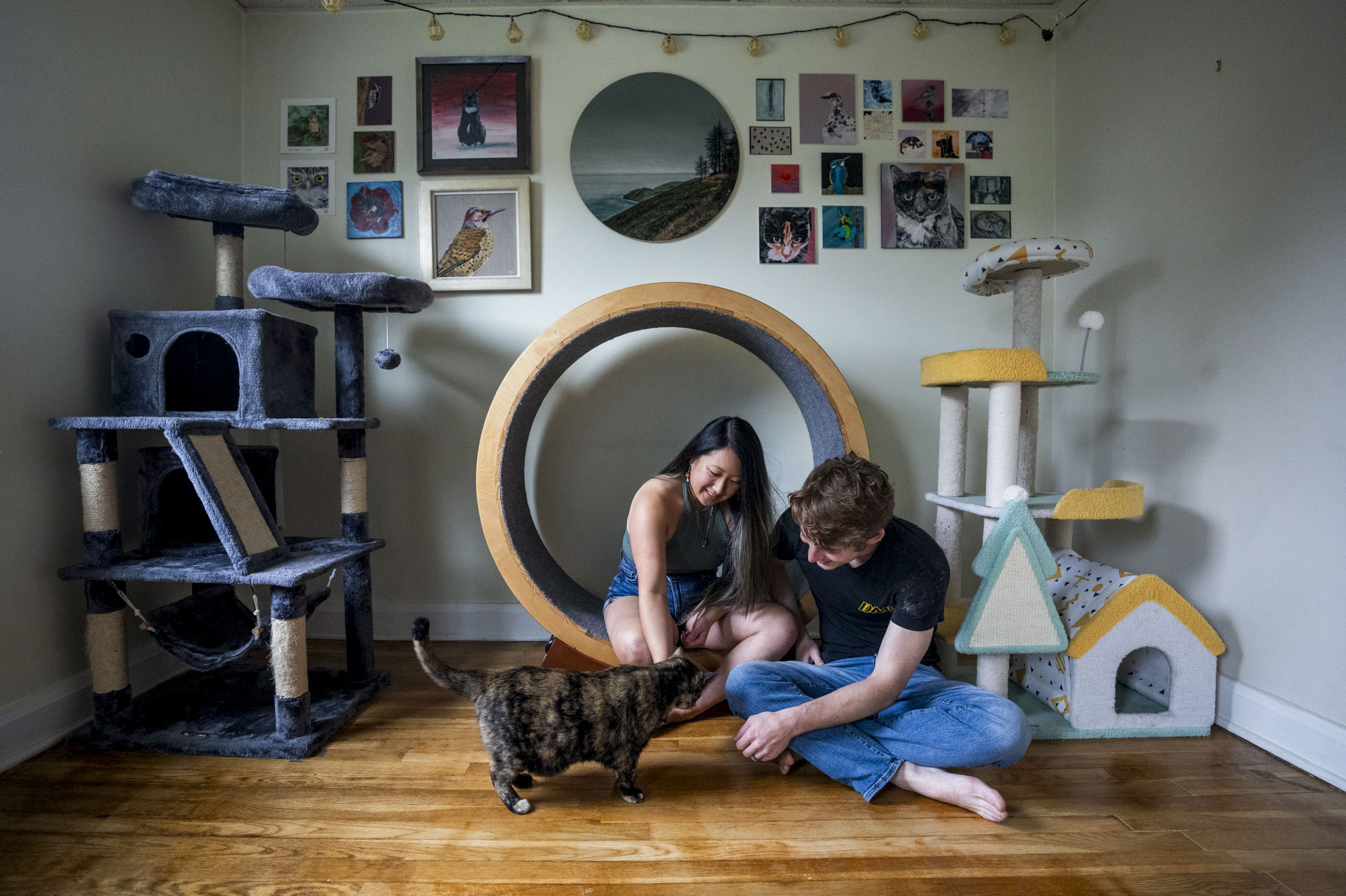 Ruth Wang and Brendan Morrison play with one of their two house cats in their cat playroom. The moveable cat wheel Wang sits on was constructed by her father-in-law.