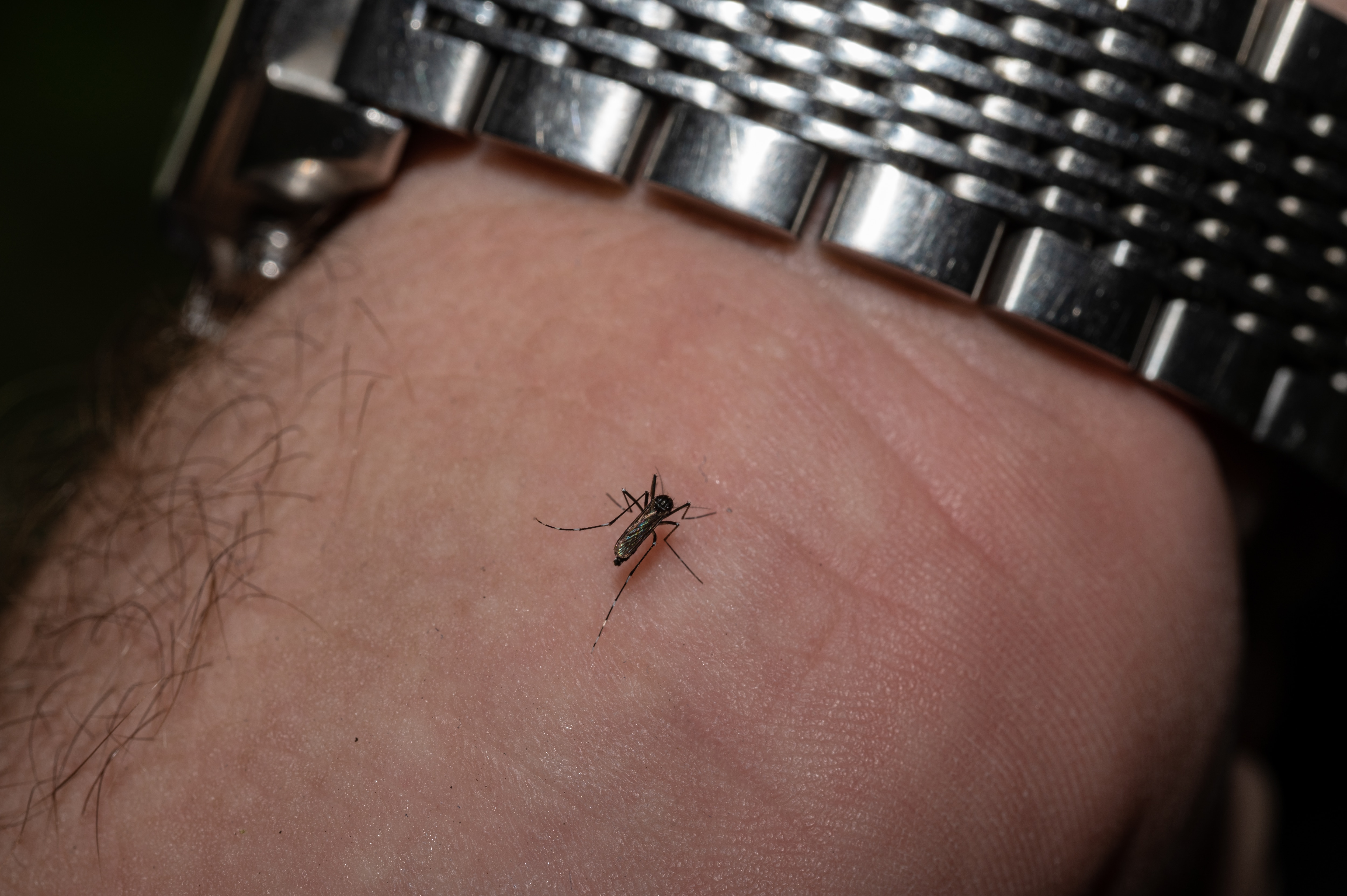 State officials are performing unscheduled spraying in Crofton and Severn after twice detecting West Nile virus in mosquitoes caught in traps.