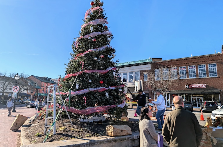 Decorators from Garden Girls place ornaments on the Annapolis Christmas tree at Market Place. The city will light the tree for the season on Sunday.