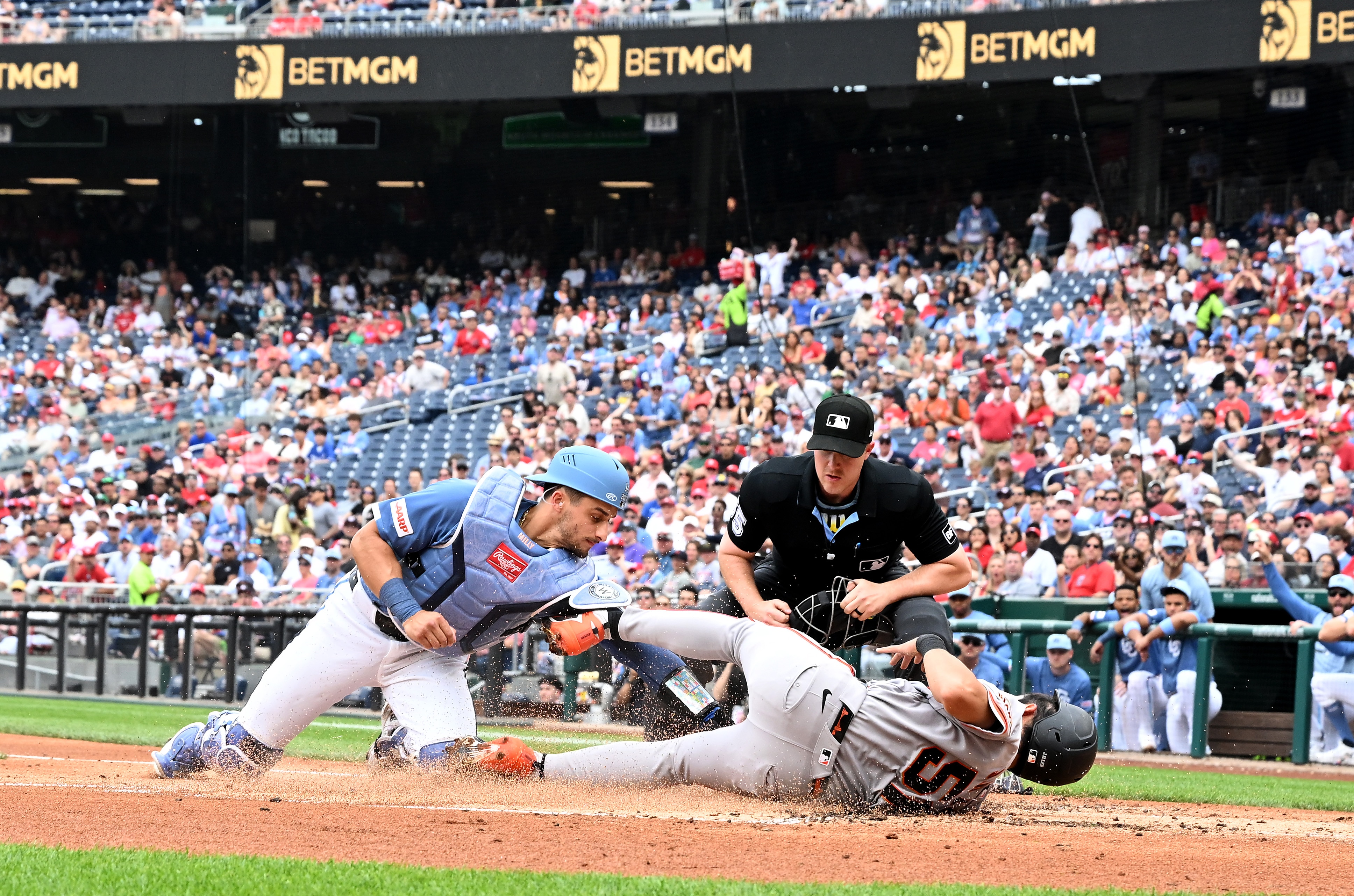 Nationals catcher Drew Millas tags out Jung Hoo Lee of the Giants in the second inning Saturday at Nationals Park.