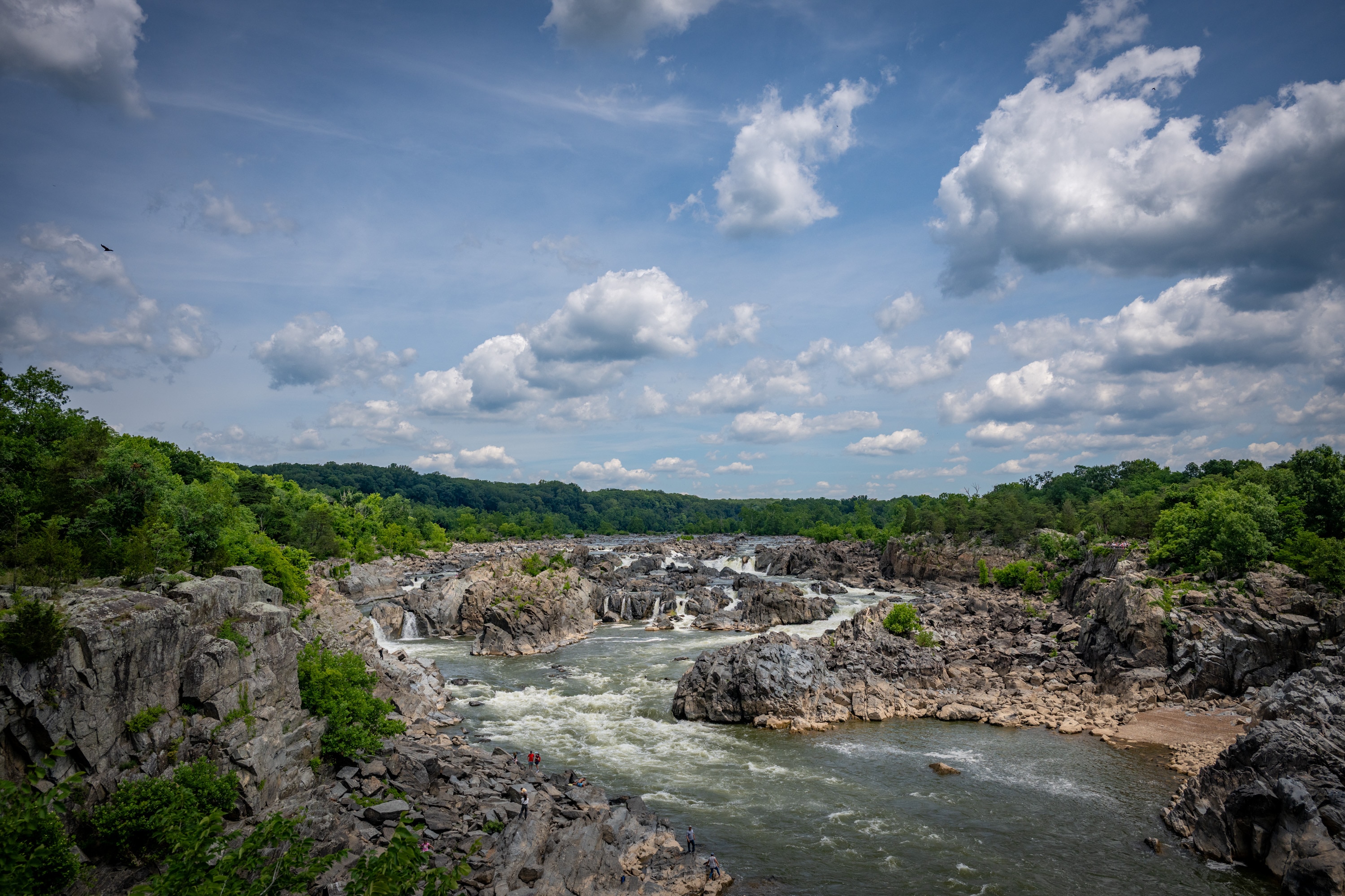 The Potomac River flows through Great Falls National Park. 