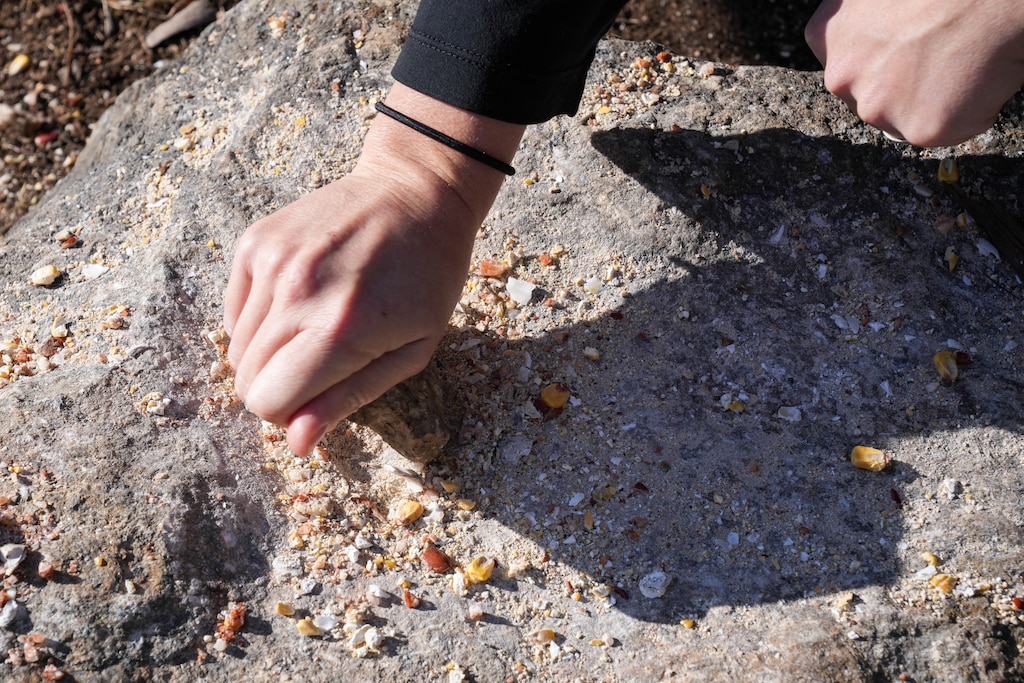 Brittany Rogers, manager of school programs at the Irvine Nature Center, demonstrates a corn grinding station at their Native American Educational Site in Owings Mills, Md., on Thursday, November 13, 2025. The Center will host a free Indigenous Peoples Celebration on Sunday, November 23.