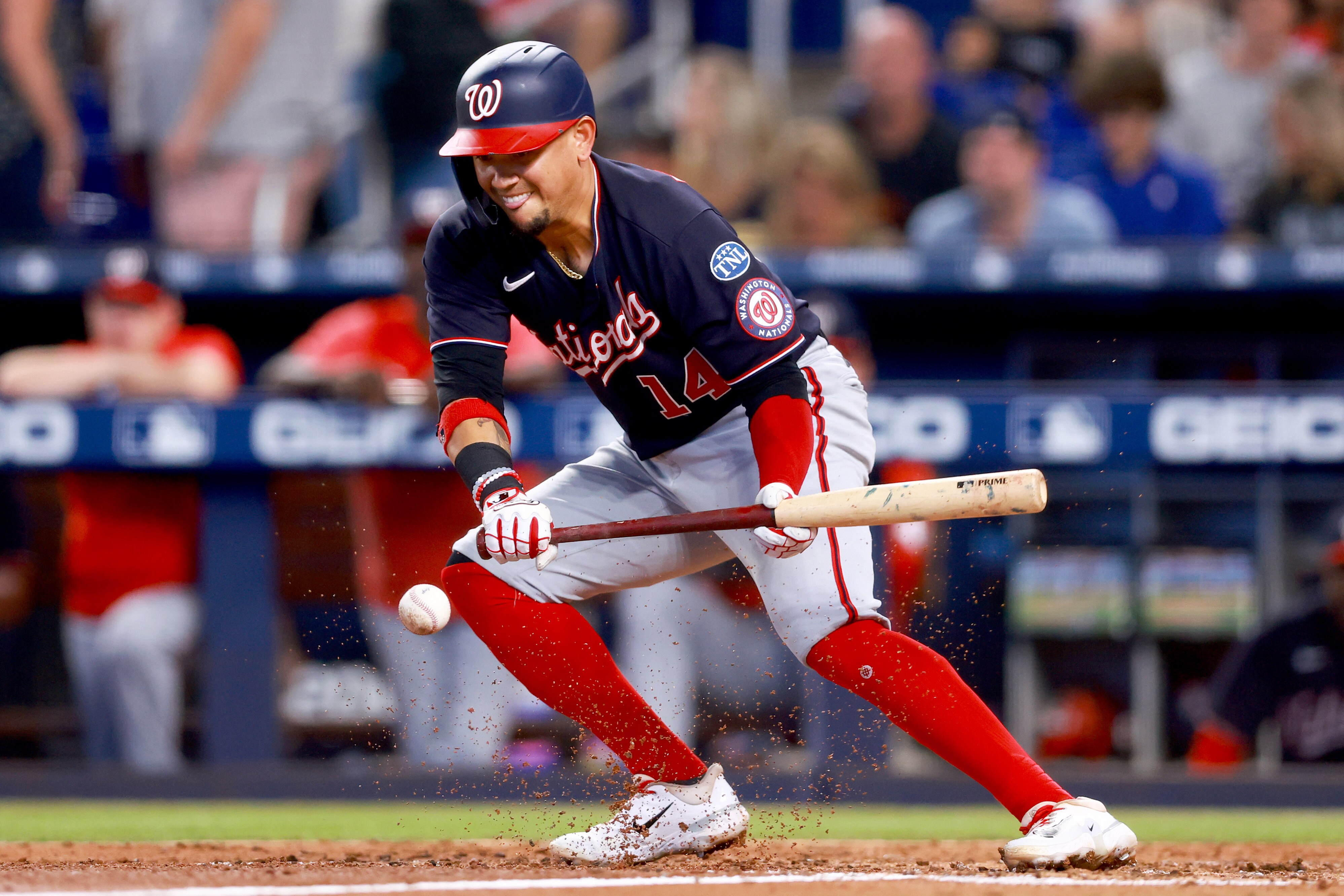 MIAMI, FLORIDA - AUGUST 26: Ildemaro Vargas #14 of the Washington Nationals bunts against the Miami Marlins during the fifth inning of the game at loanDepot park on August 26, 2023 in Miami, Florida. (Photo by Megan Briggs/Getty Images)