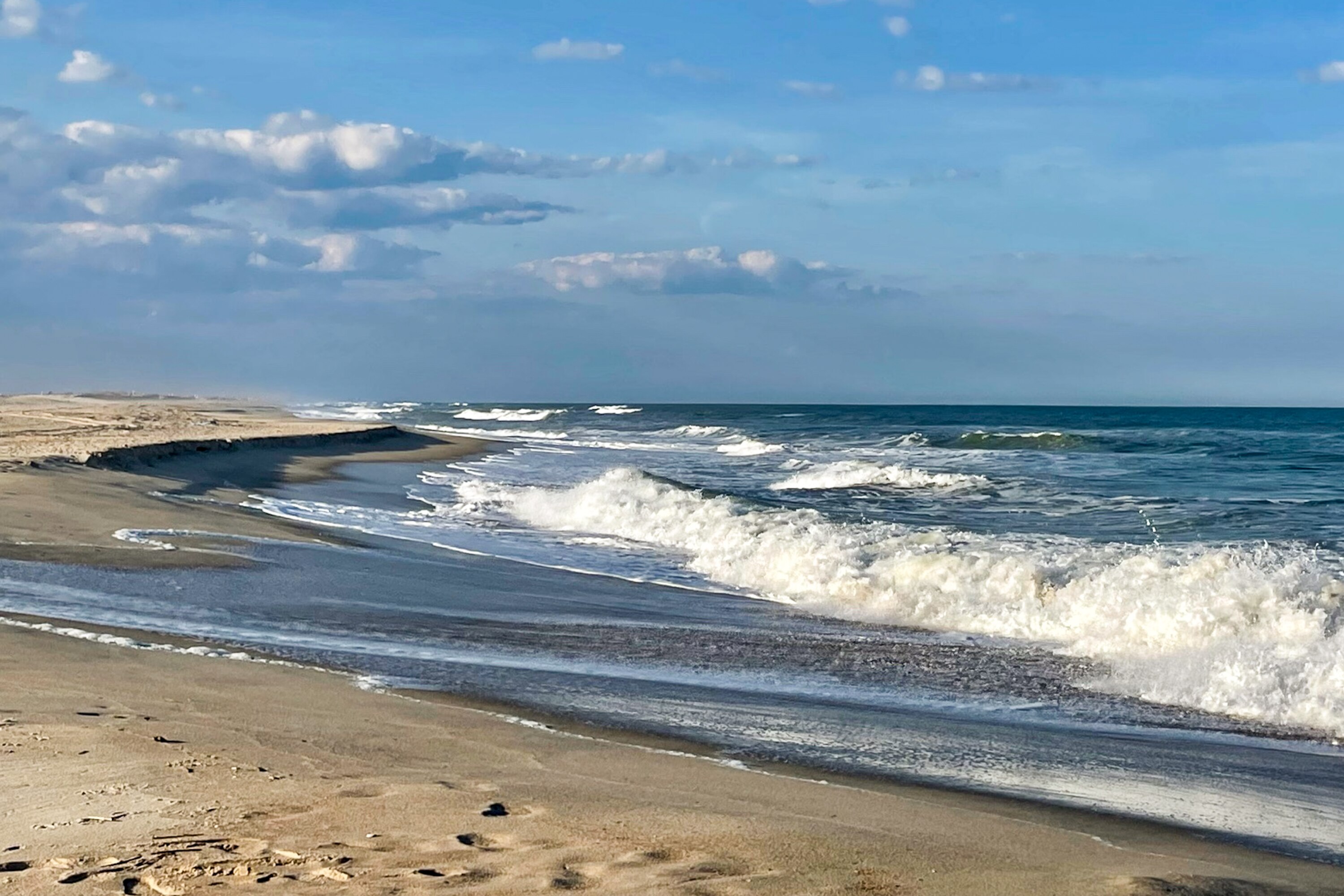 Assateague Island includes a national seashore and a state park — one of Maryland’s top 4 visited state parks, with nearly 1.5 million campers and day-use visitors. 
