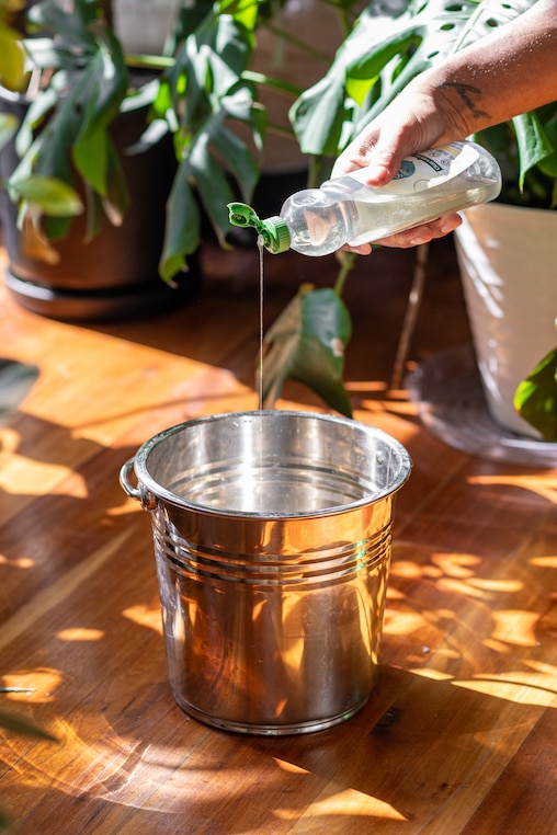 A little dish soap helps clean up leaves.