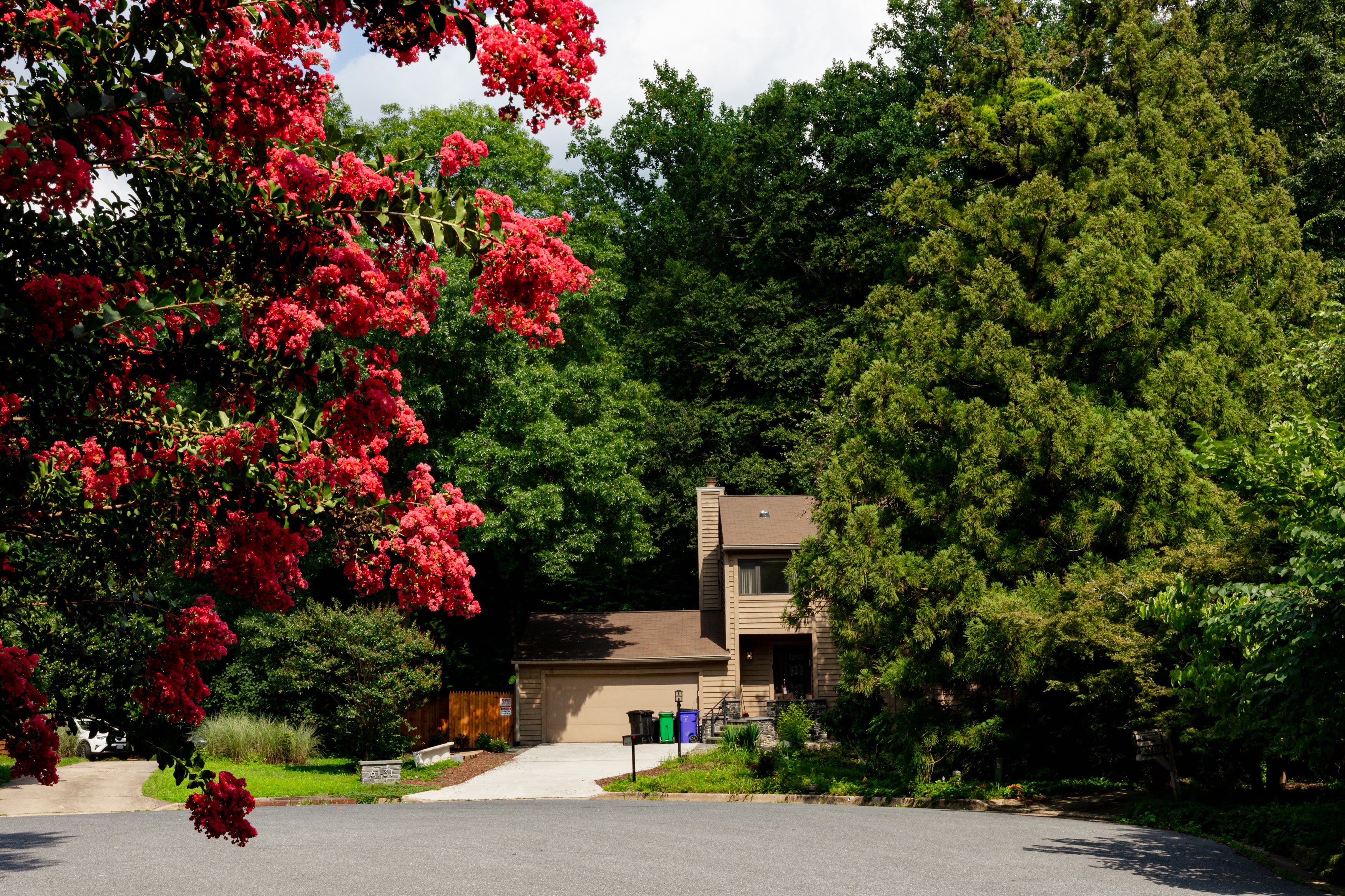 A house at the end of a quiet cul-de-sac in Columbia that has been attracting revelers to for-profit pool parties.