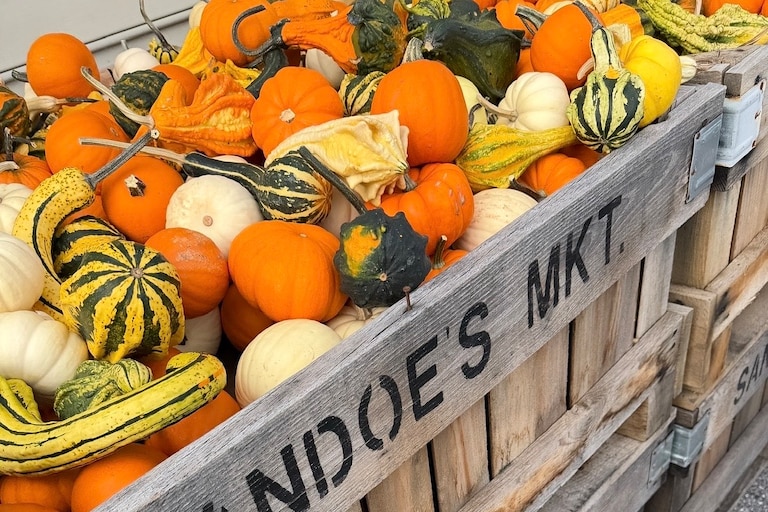Various pumpkins and gourds are available at Sandoe's Fruit Market in Biglersville, Pennsylvania.