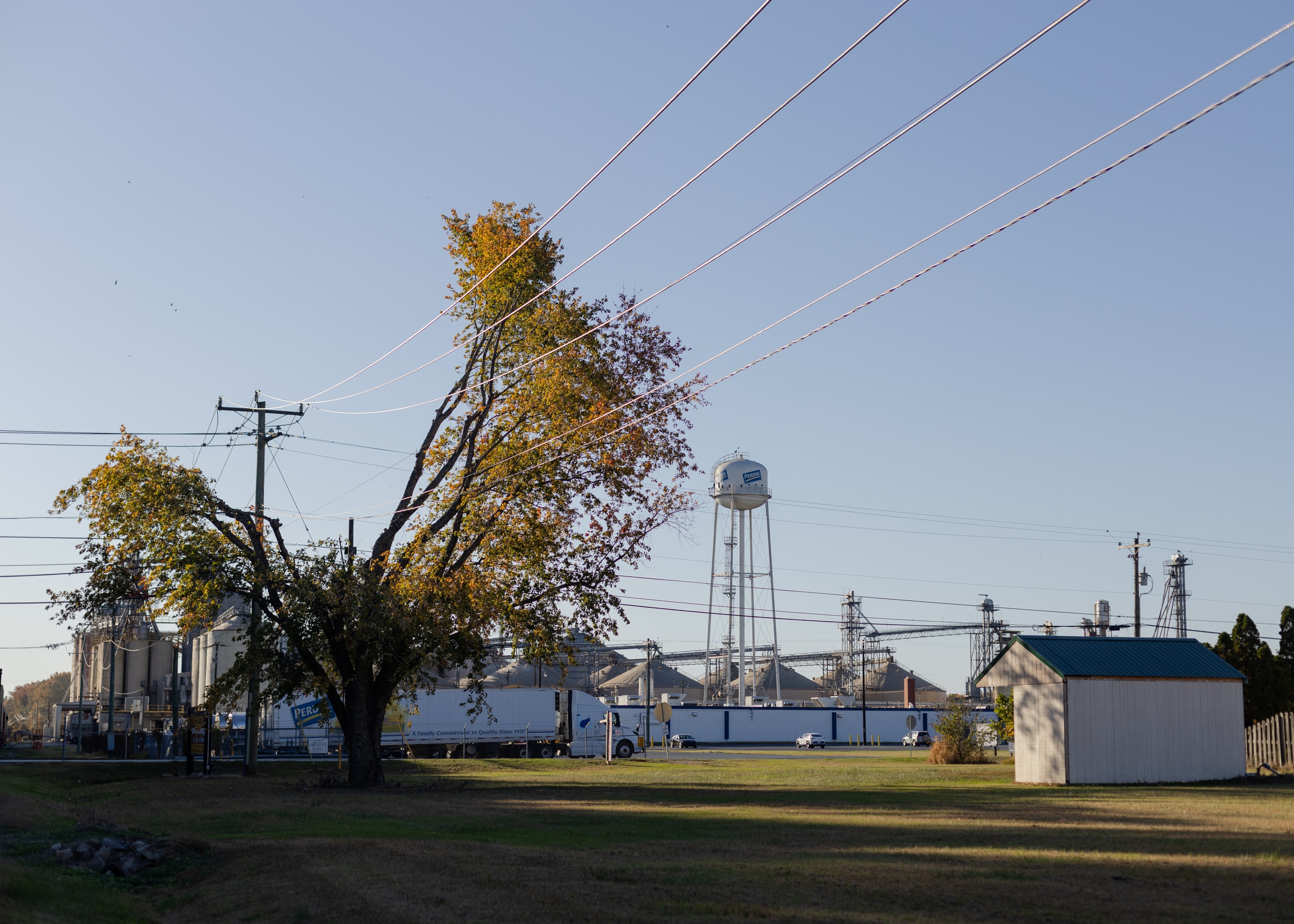 Residential properties abut the Perdue Agribusiness factory in Salisbury.