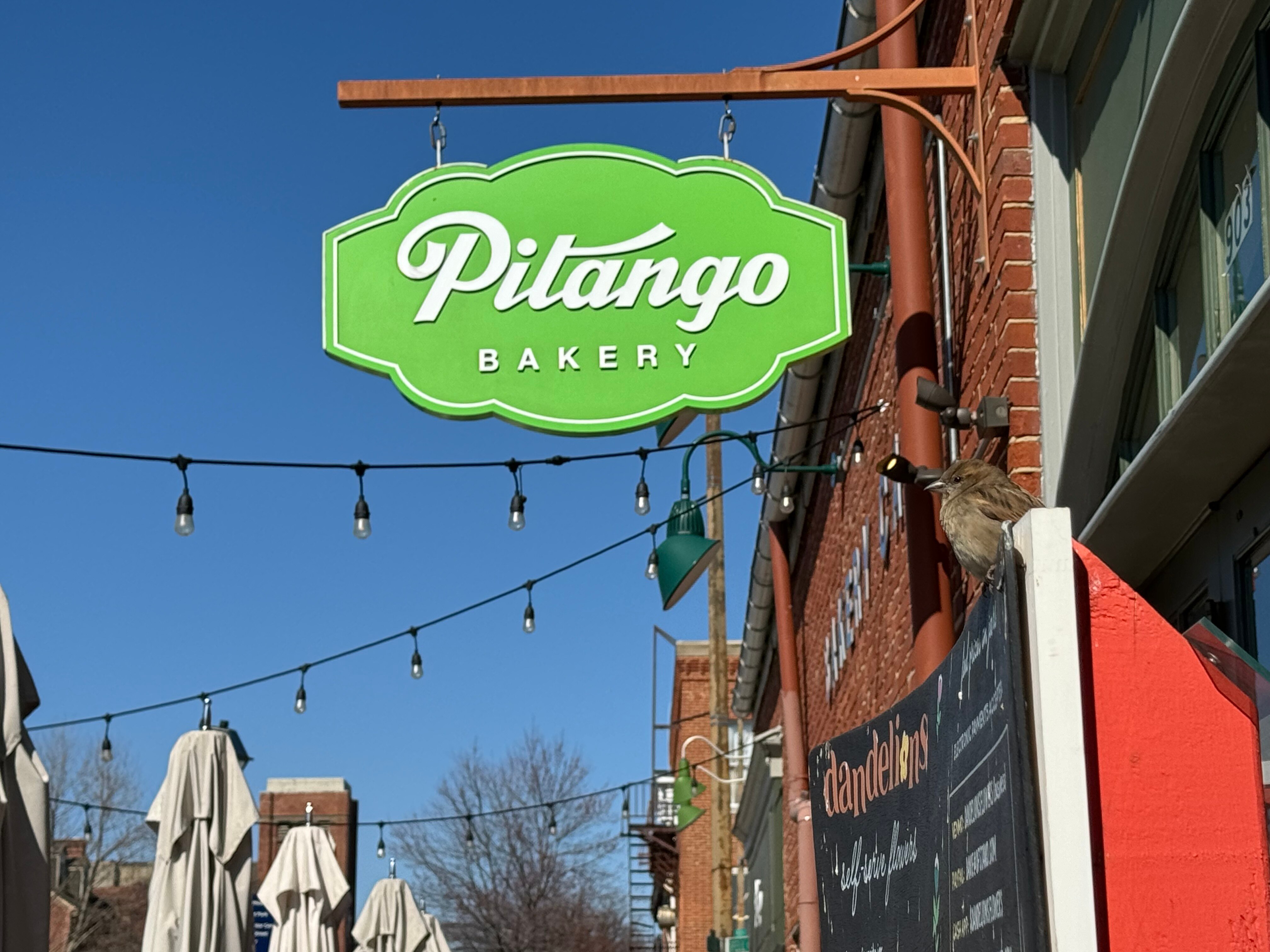 A bird perches on a sign outside Pitango Bakery + Café in Fells Point.