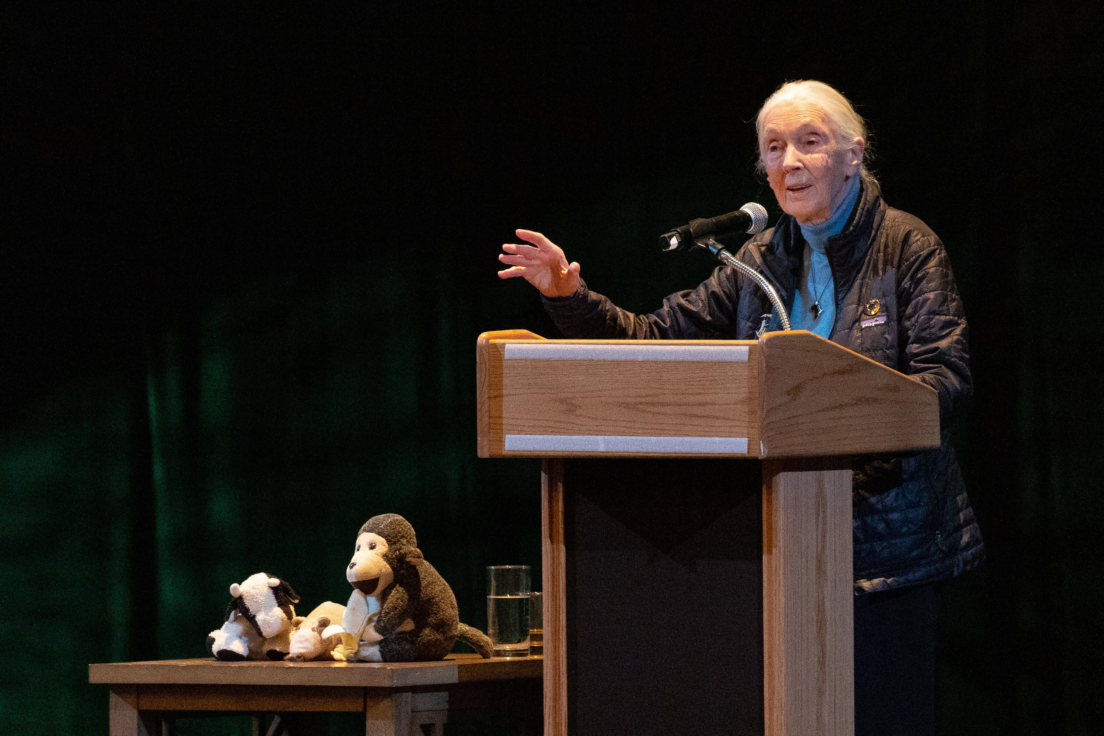Jane Goodall speaks at The Lyric in Baltimore for "An Afternoon with Jane Goodall" in March 2025.