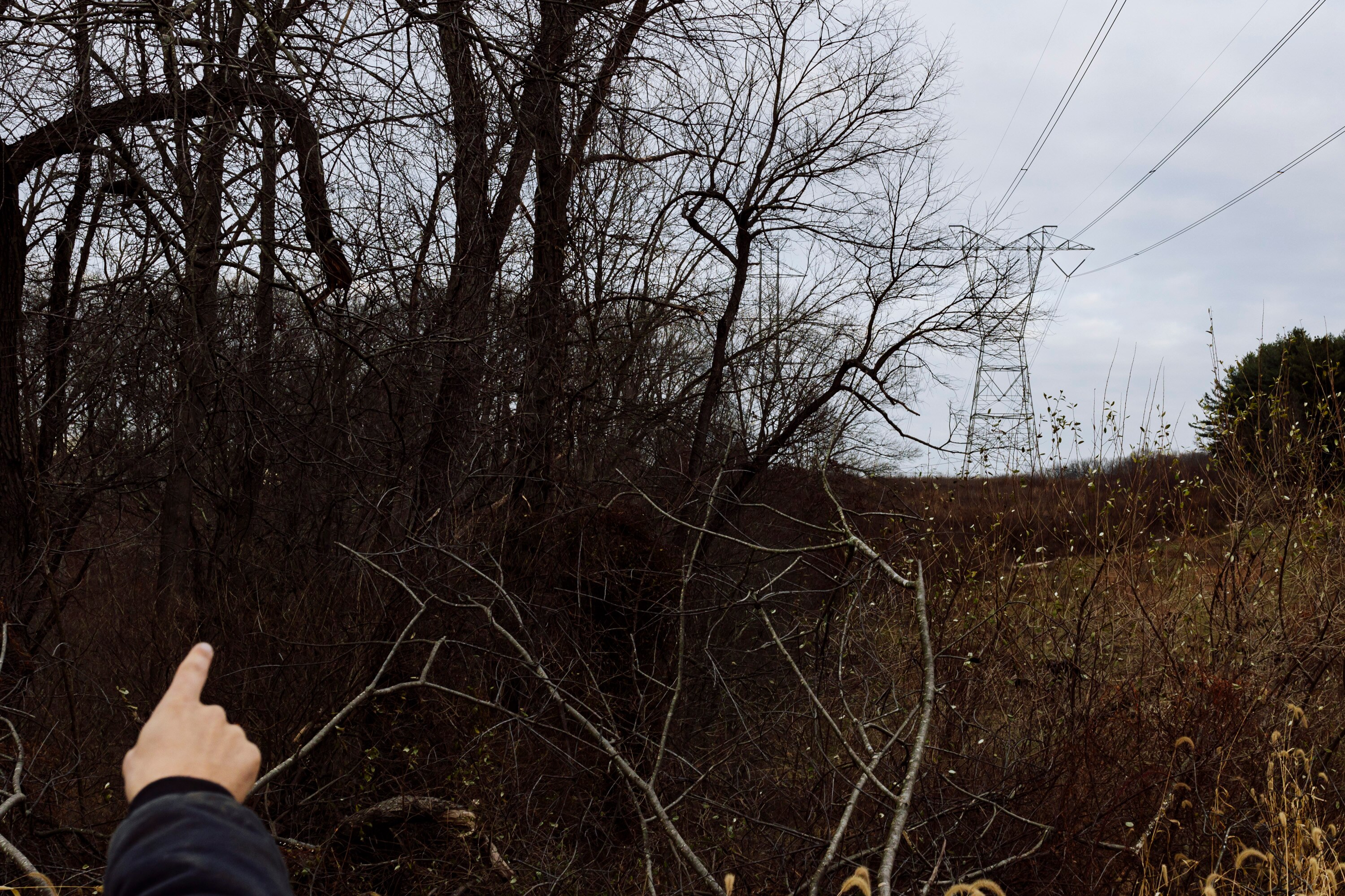 Brandon Hill points to a power line which runs over the farm property he owns in Parkton, MD on Friday, Dec. 13, 2024.