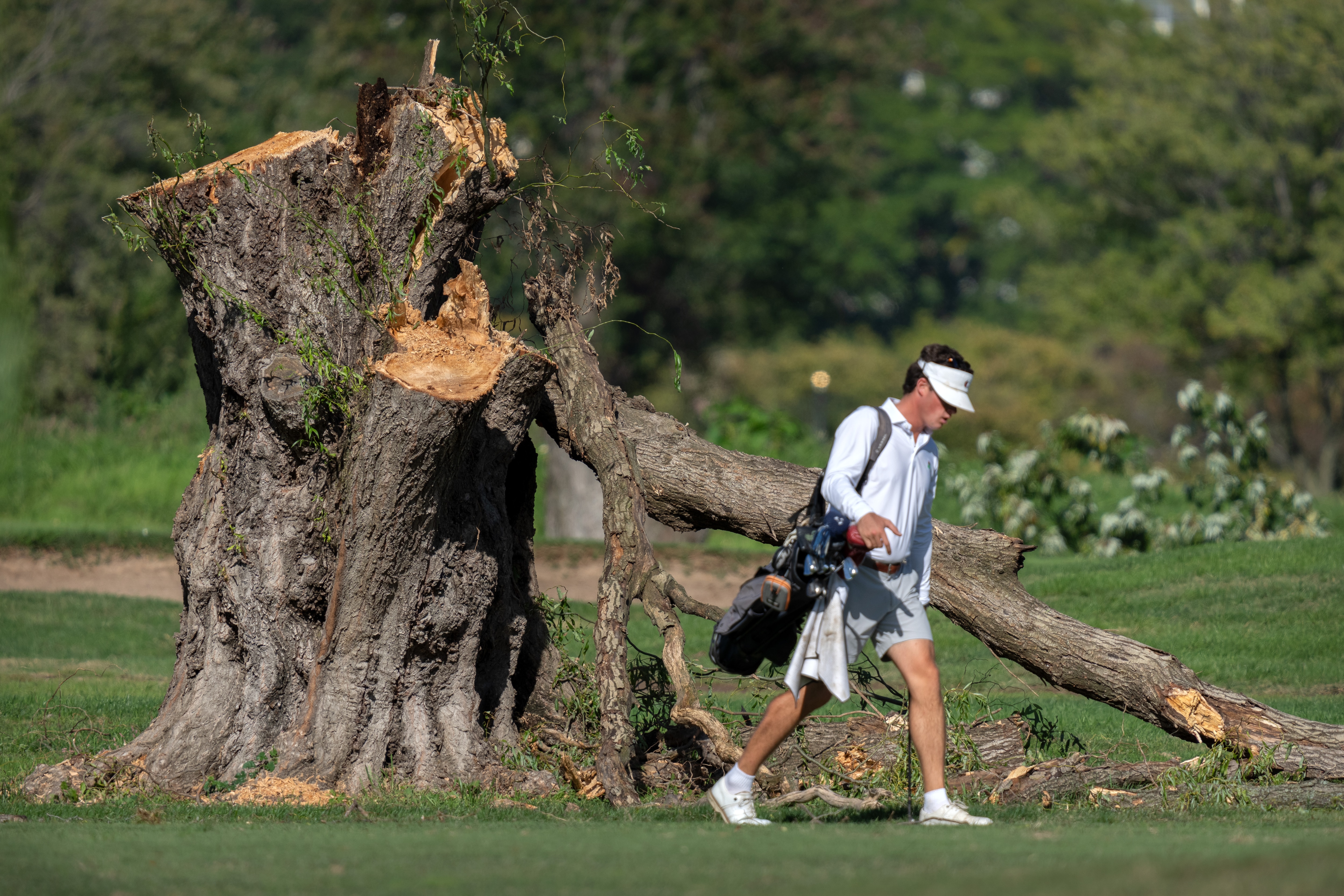 A golfer walks past the stump of a large tree at the East Potomac Golf Links, Monday, Oct. 12, 2026, in Washington.