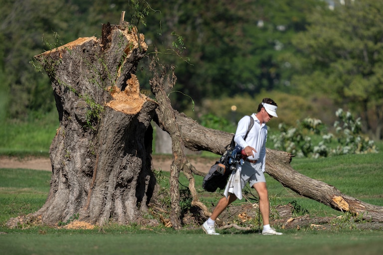 A golfer walks past the stump of a large tree at the East Potomac Golf Links, Monday, Oct. 12, 2026, in Washington.