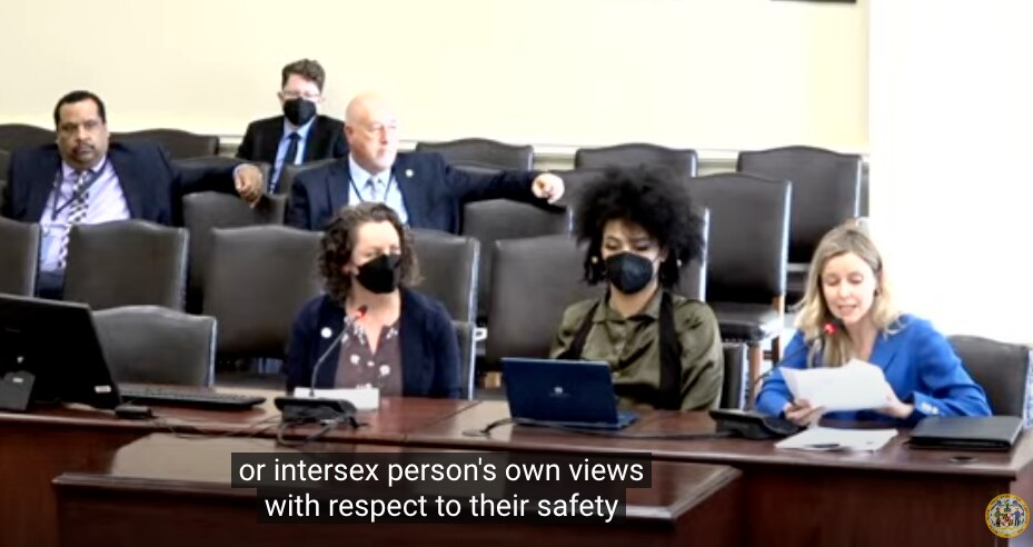 Advocates for the rights of transgender prisoners speak during a Public Safety and Administration Subcommittee hearing on Feb. 21, 2024. From left to right: Alice Wilkerson, executive director of Advance Maryland; Jamie Grace Alexander of the Trans Rights Advocacy Coalition; and Heather Warnken, executive director of the Center for Criminal Justice Reform at the University of Baltimore School of Law.