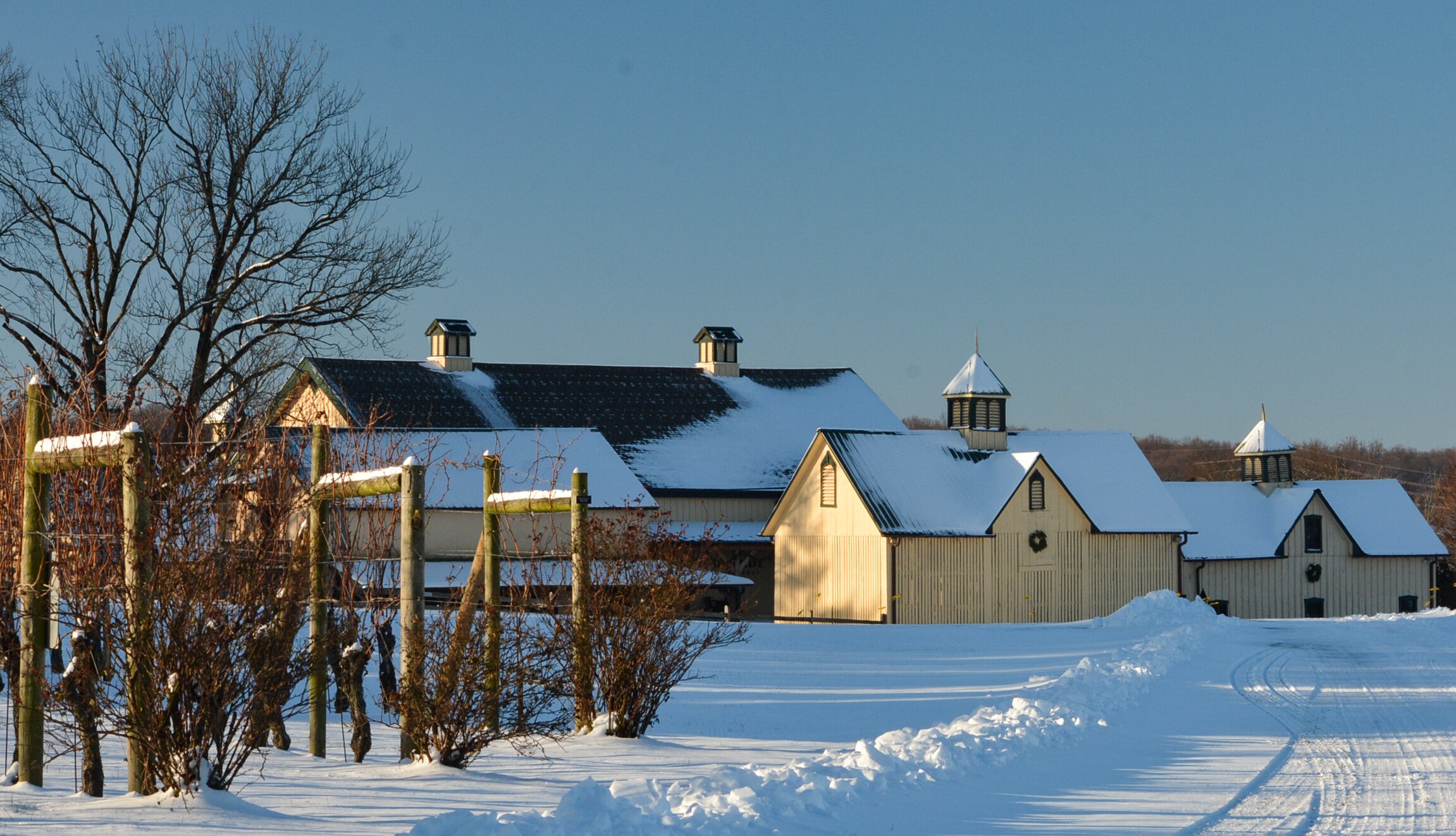 Join Boordy Vineyards in Hydes on Sunday for an afternoon of music, food and wine.