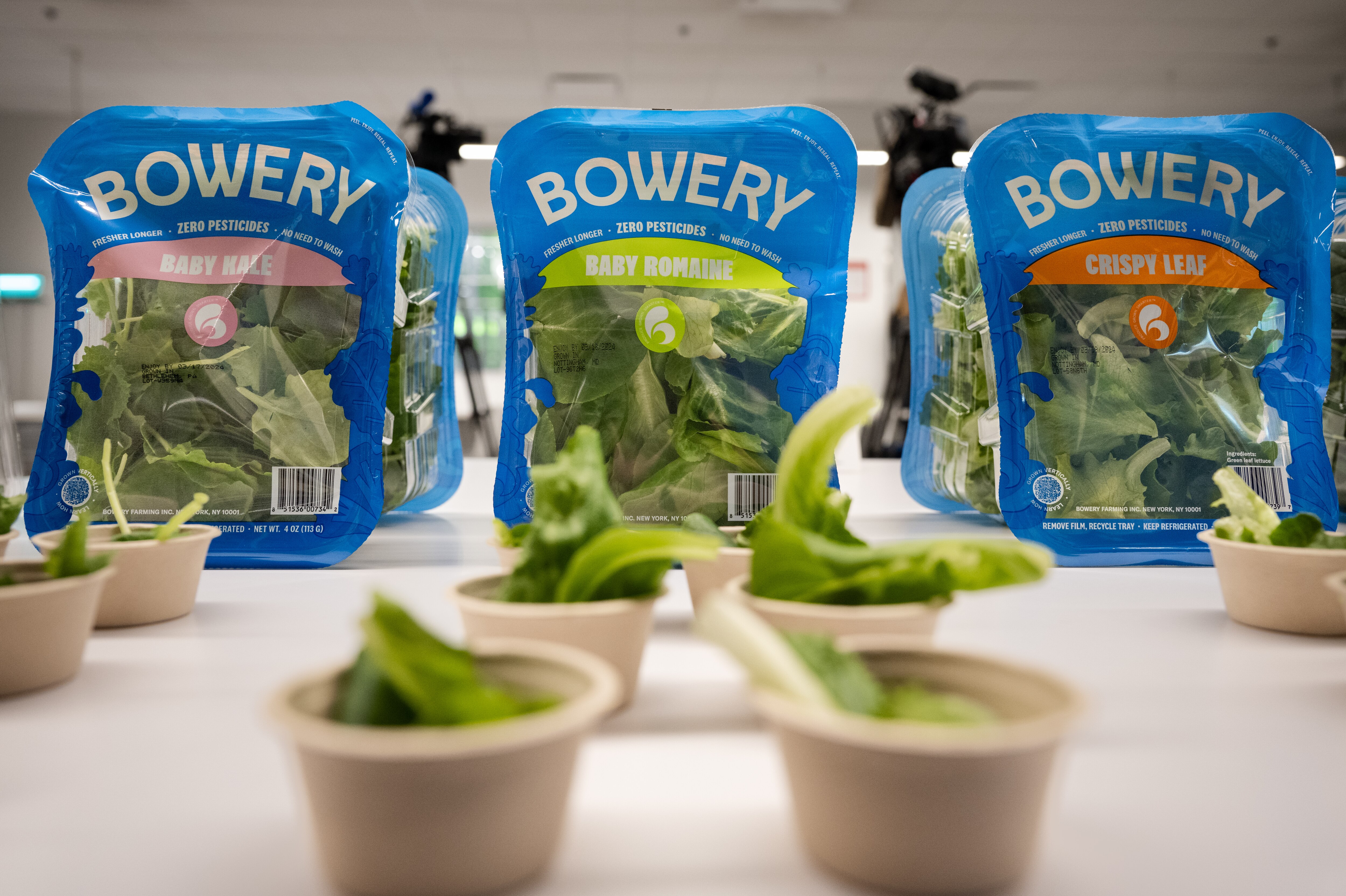 Bowery used indoor vertical farming to grow pesticide-free lettuce and greens.