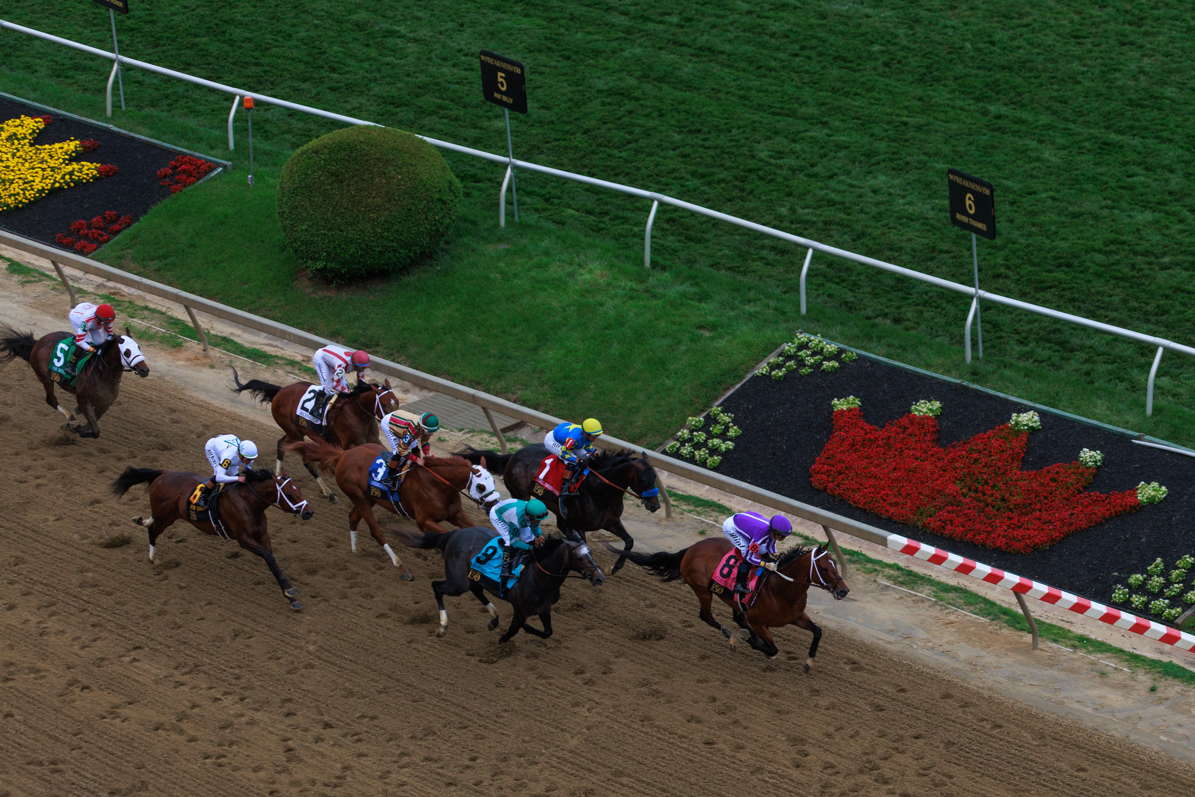 The Preakness Stakes at Pimlico Race Course on Saturday, May 17, 2025, in Baltimore.
