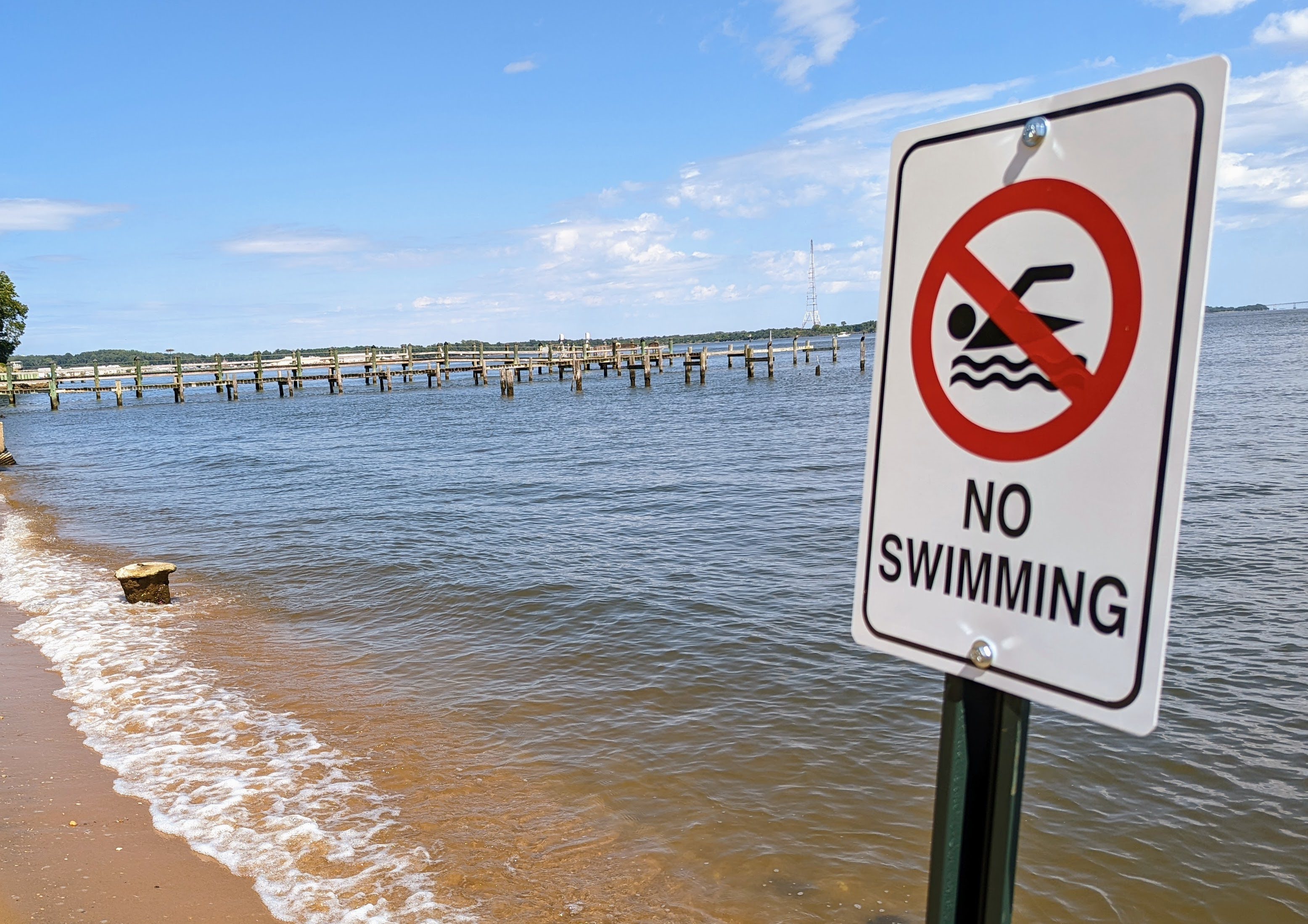 Knowing where and when to swim on the Chesapeake Bay requires understanding what's in the water.
