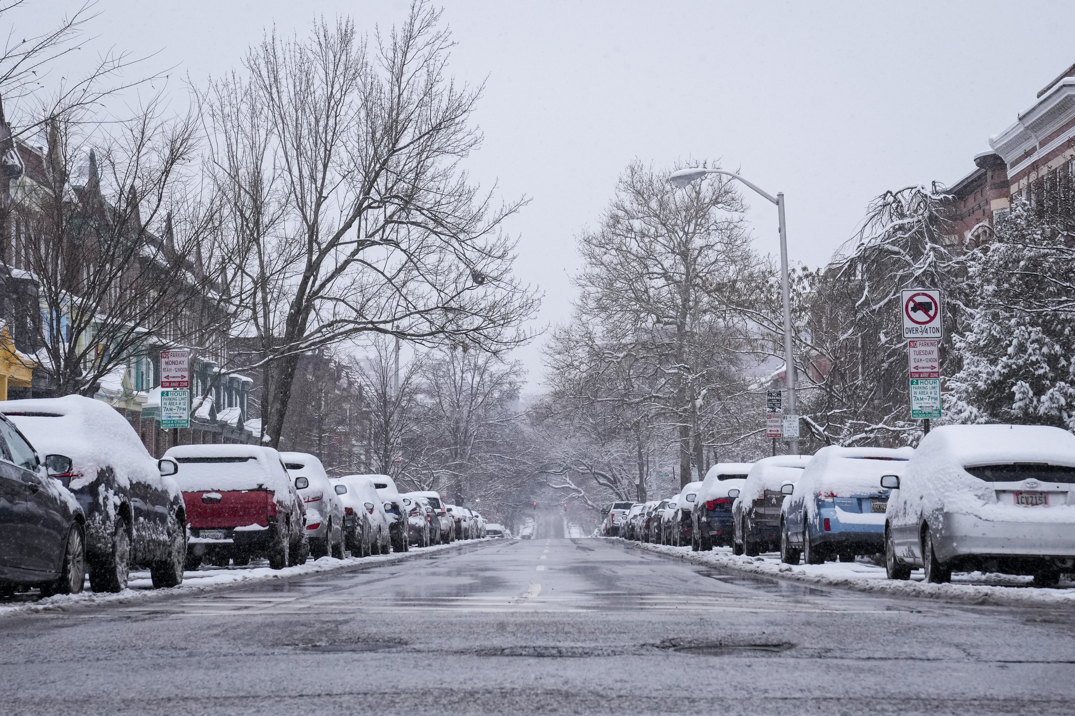 Snow-covered cars lined Calvert Street on a snowy day in Baltimore on Jan. 19, 2024.